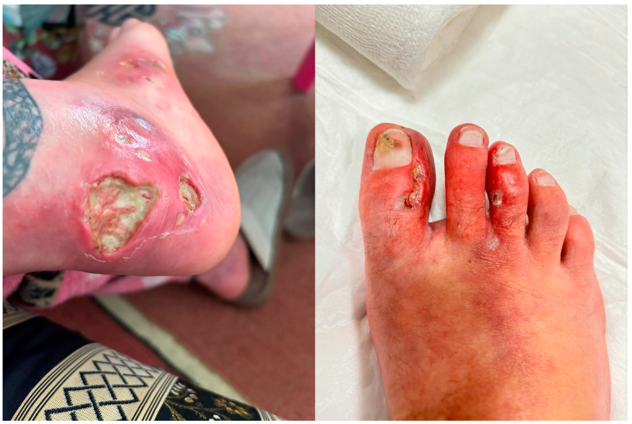 Clinpract 15 00057 g001