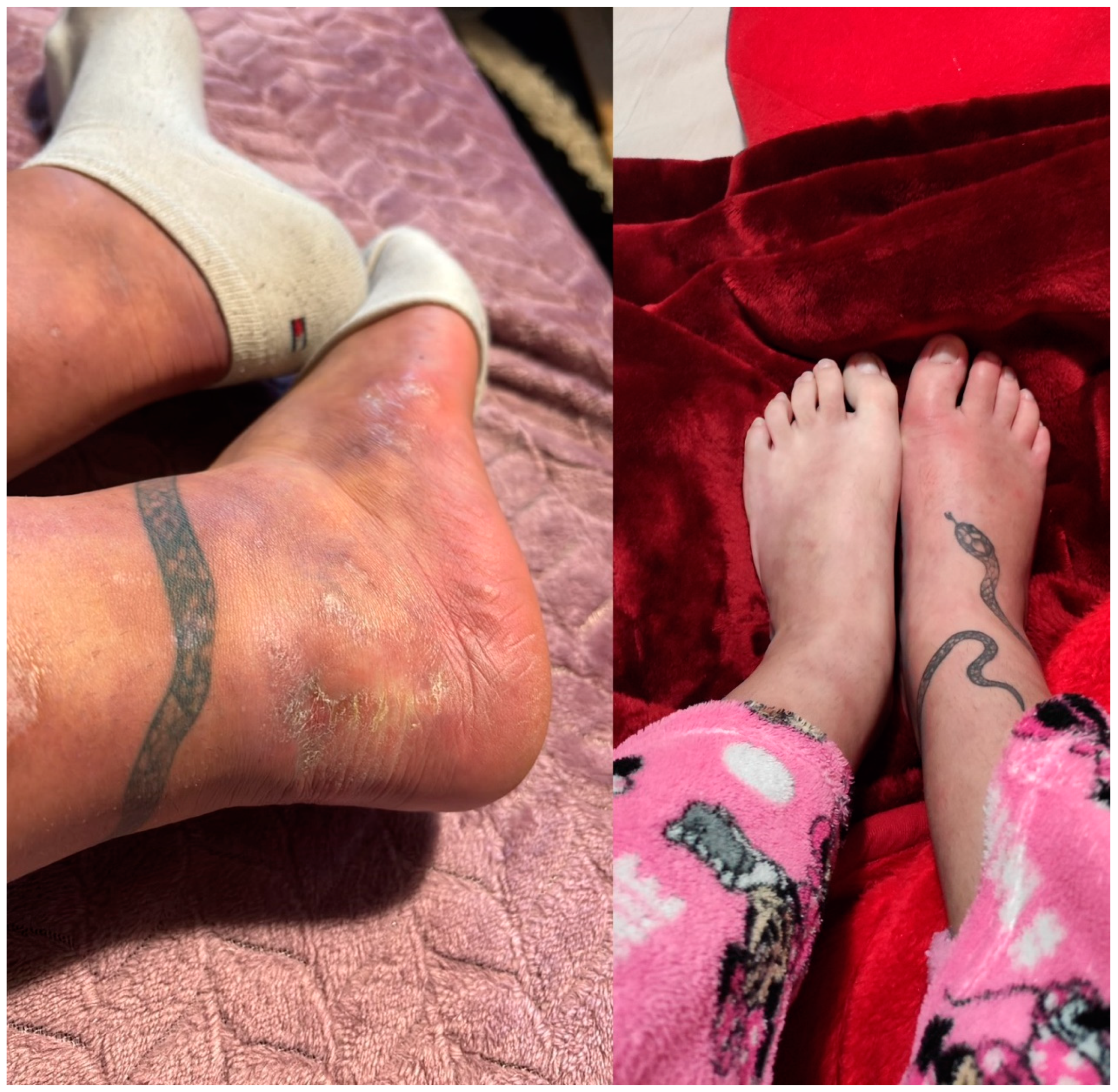 Clinpract 15 00057 g002