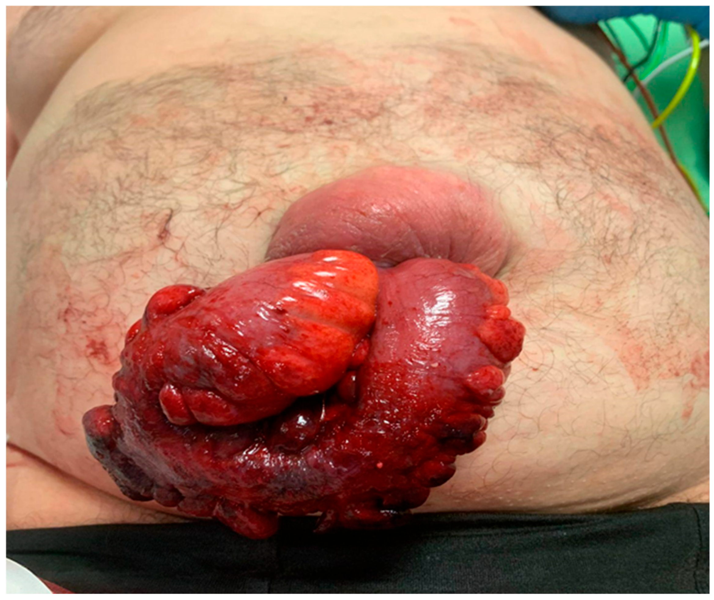 Clinpract 15 00099 g001