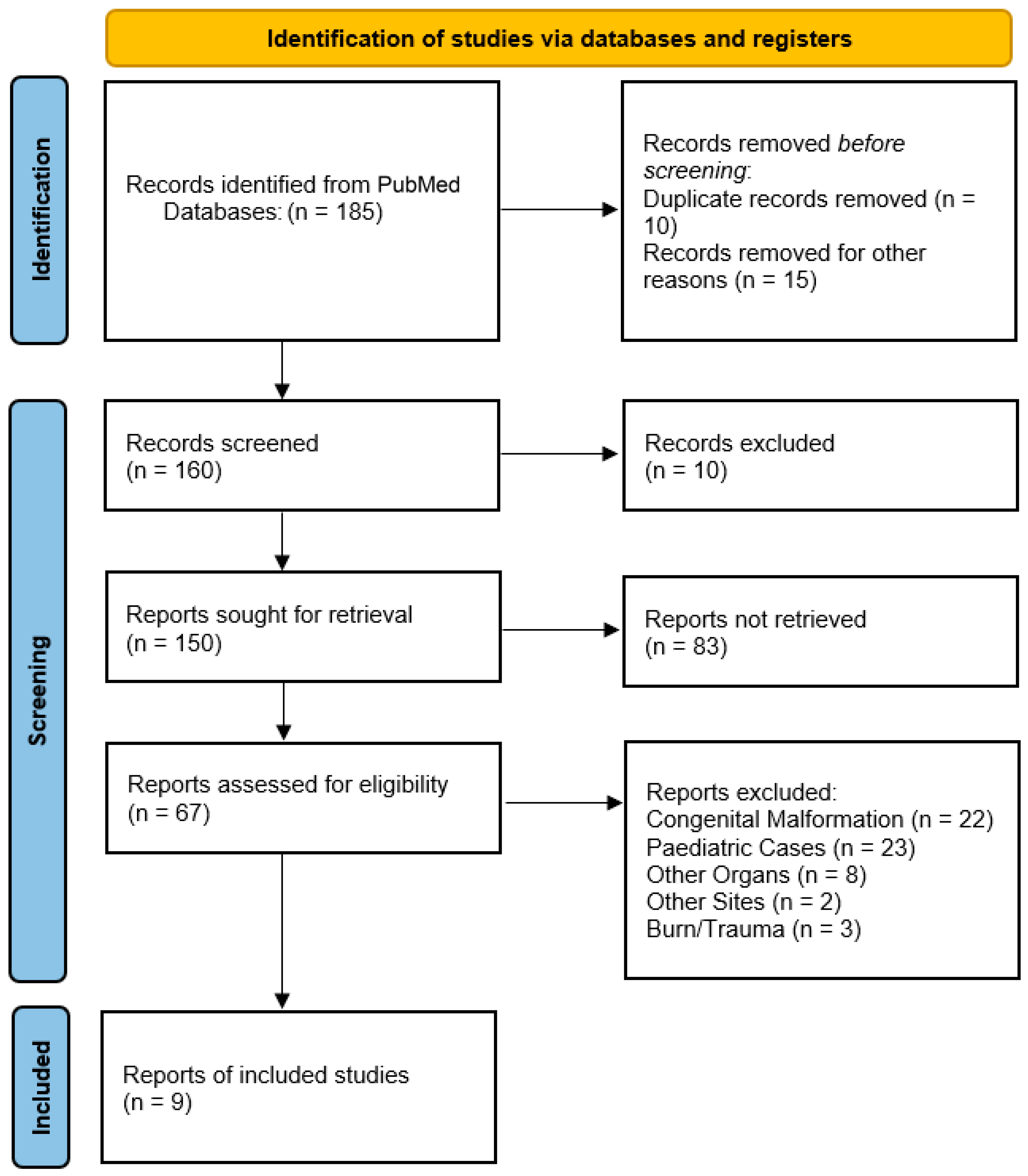 Clinpract 15 00099 g002