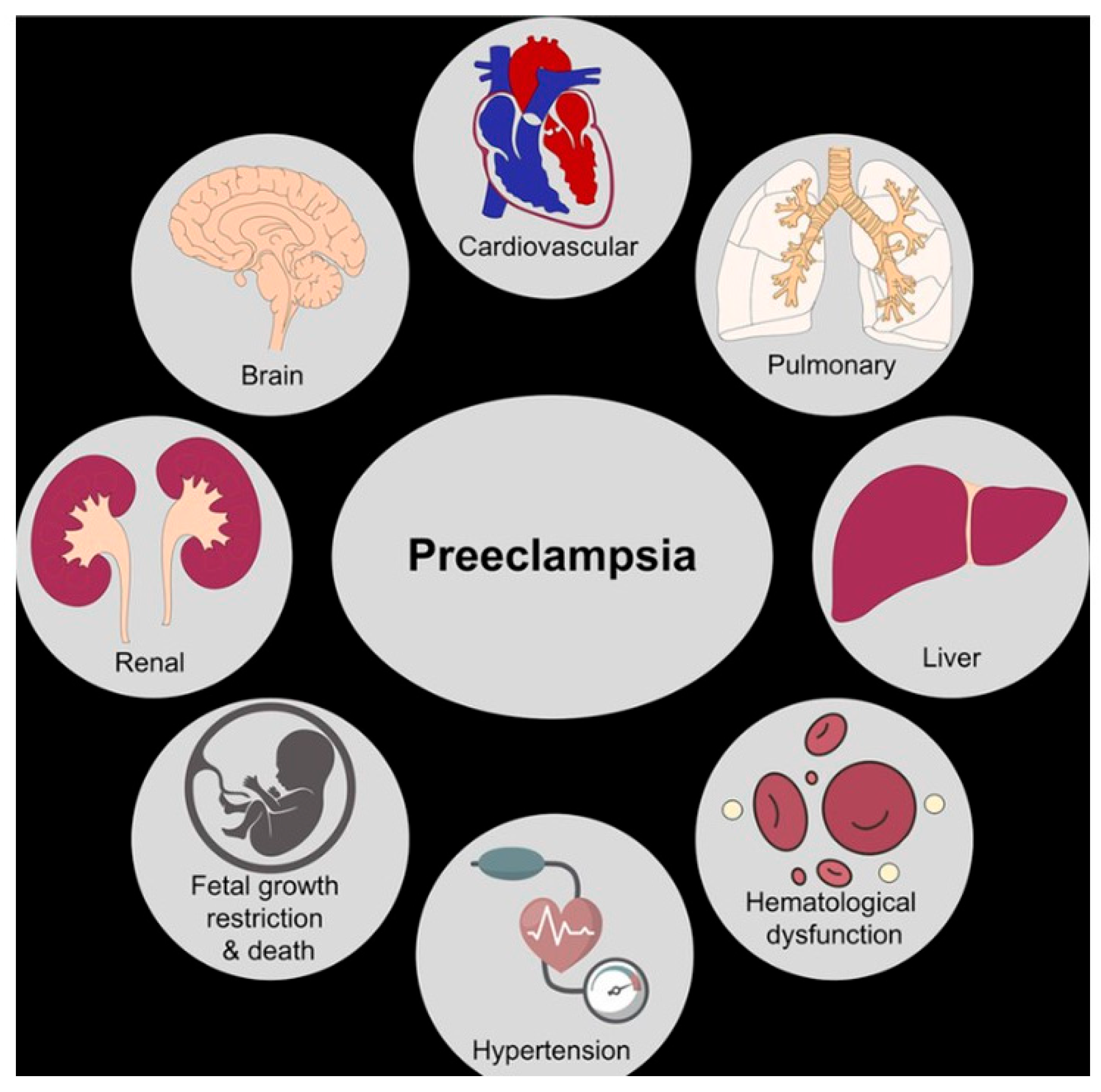 Clinpract 15 00126 g001