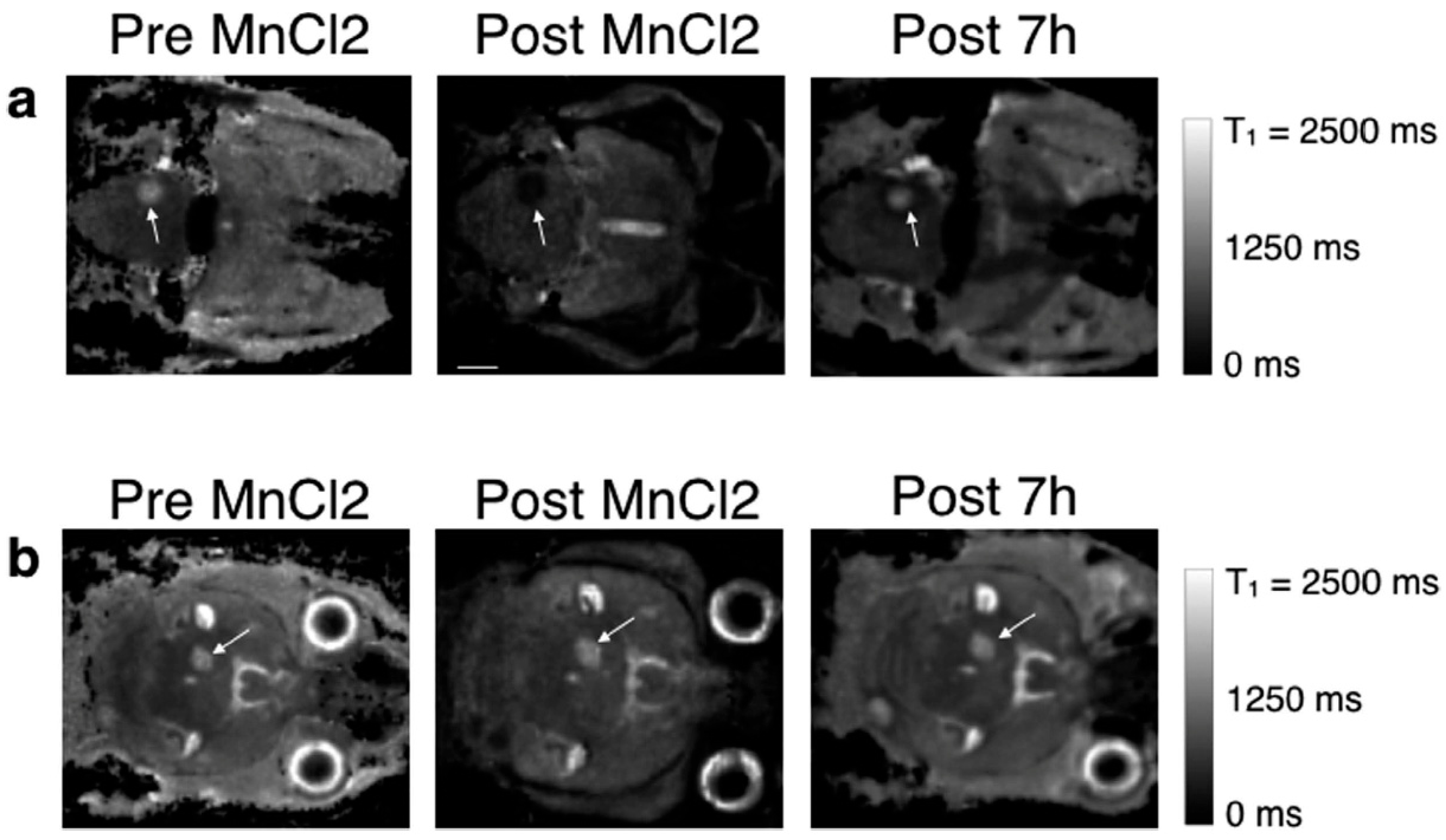 Clinpract 15 00137 g001