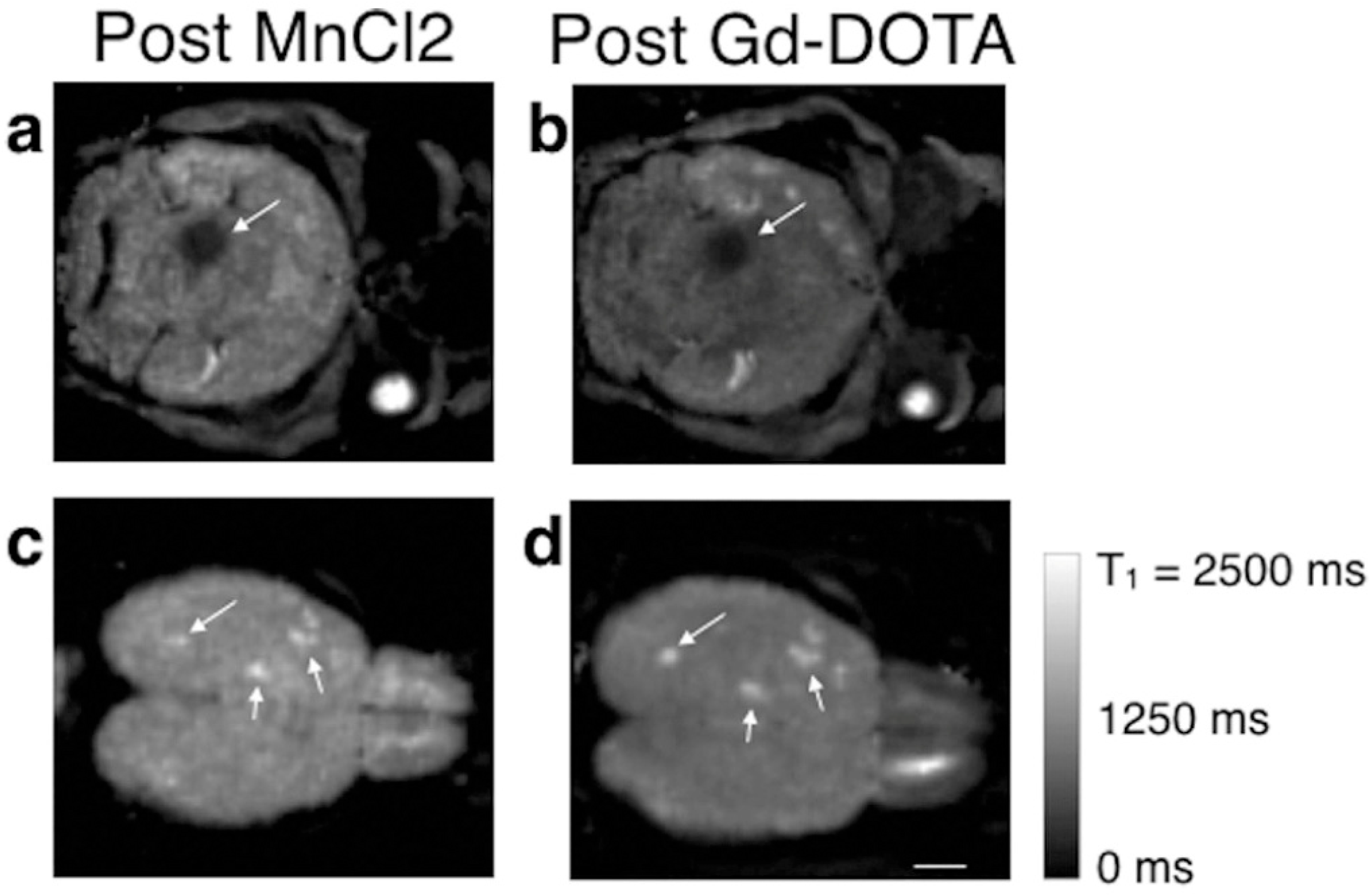 Clinpract 15 00137 g002