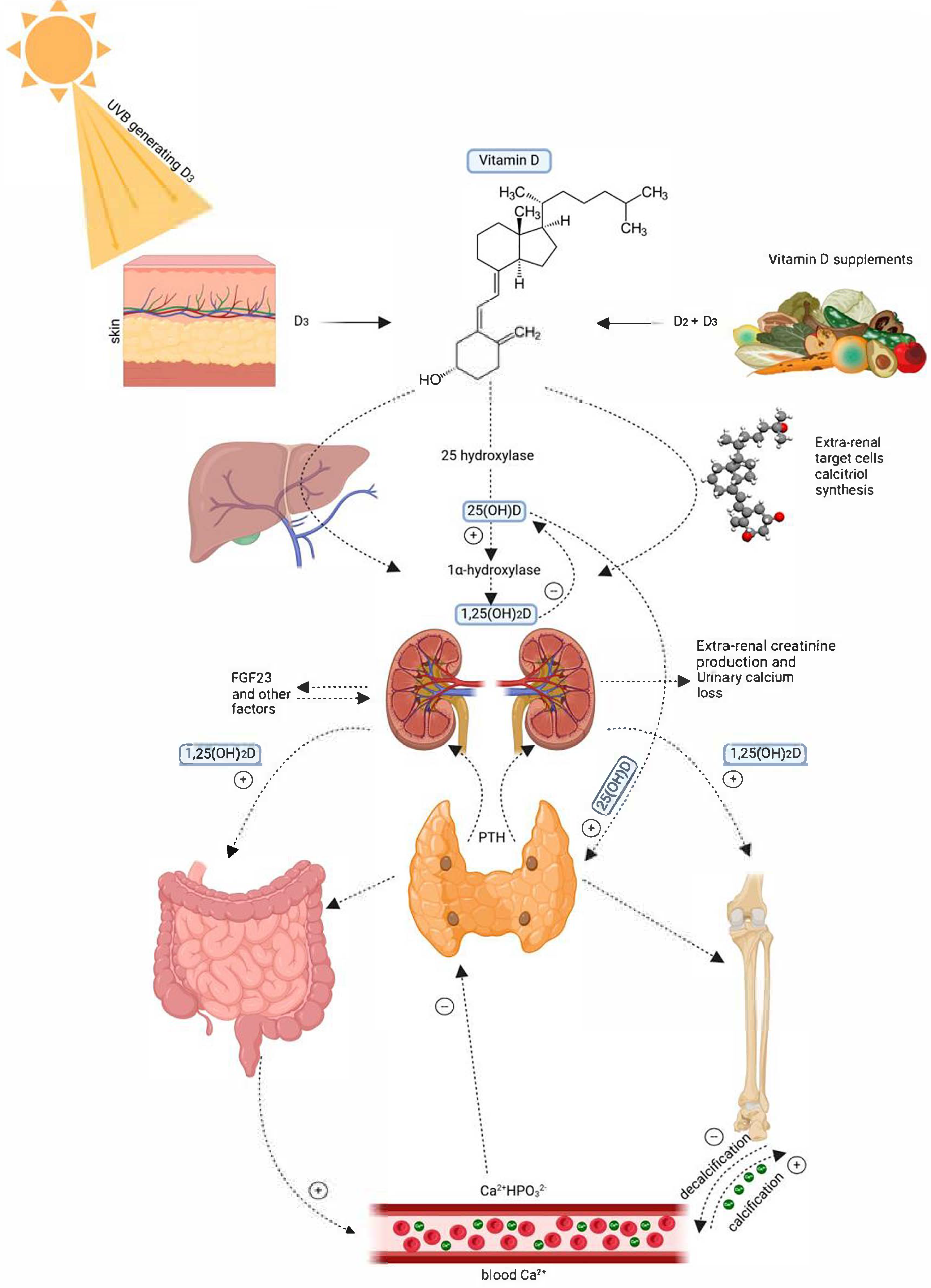 Clinpract 15 00148 g001 Clinpract 15 00148 g001