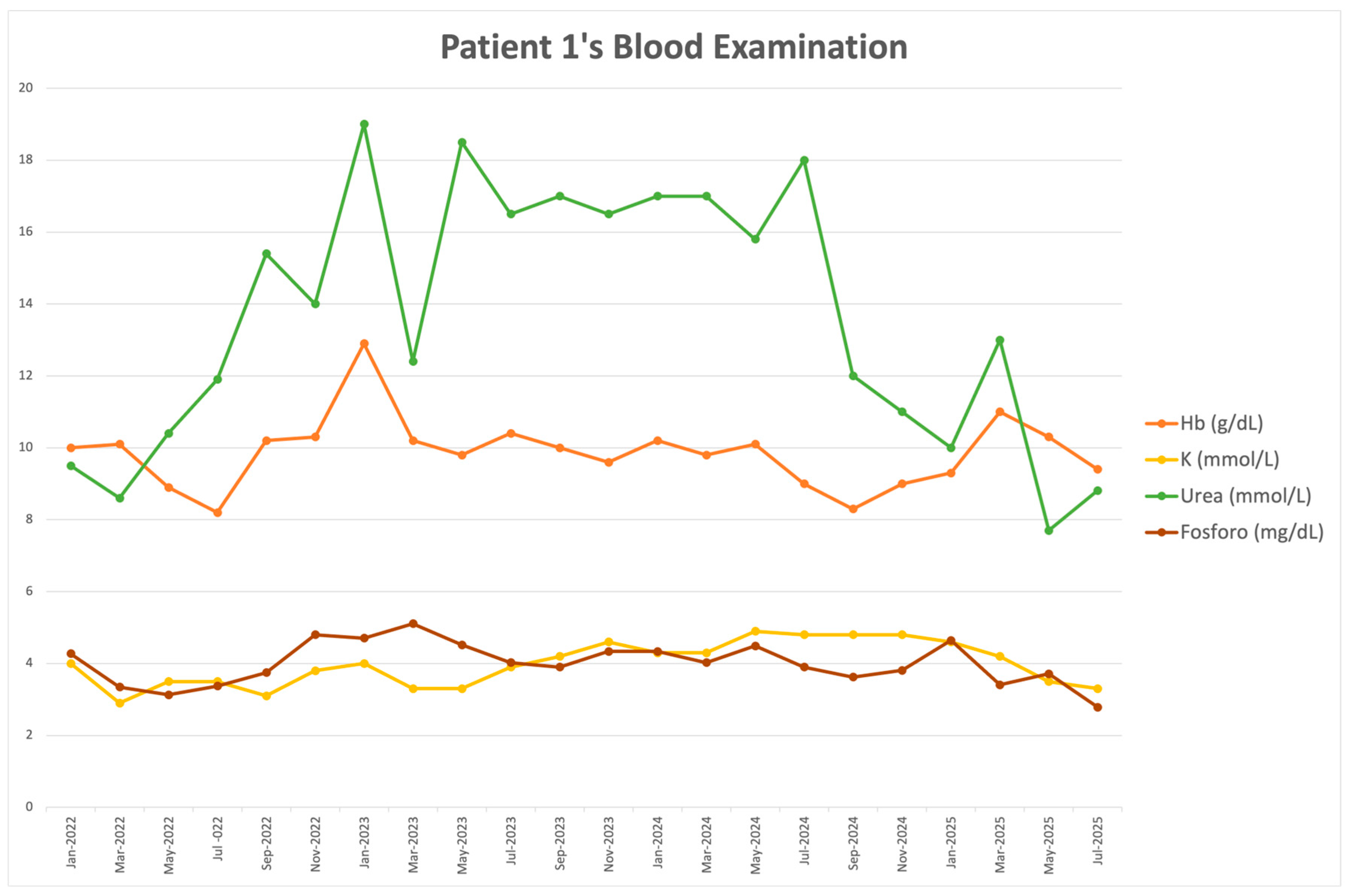 Clinpract 16 00025 g001
