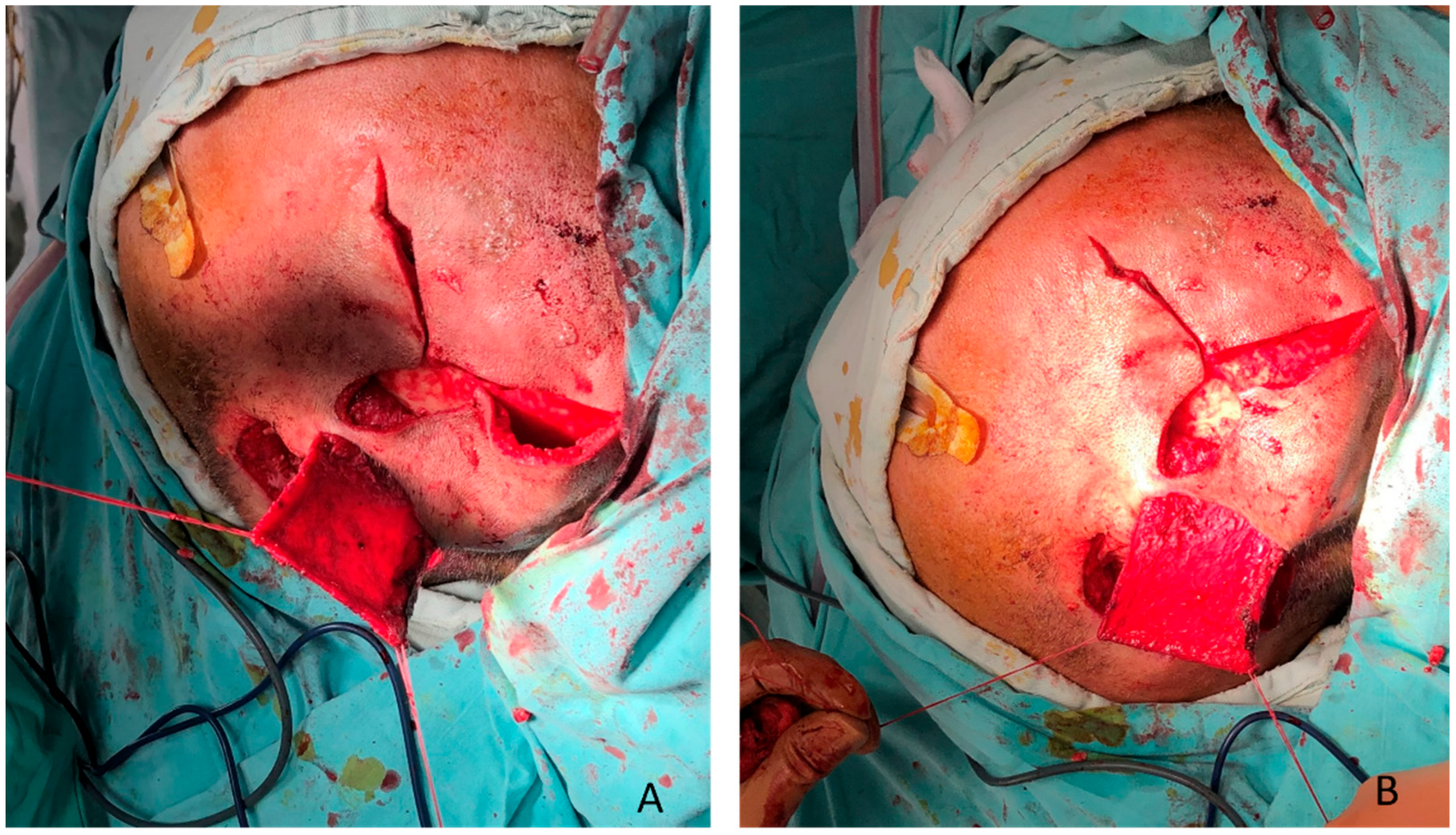 Clinpract 16 00027 g002