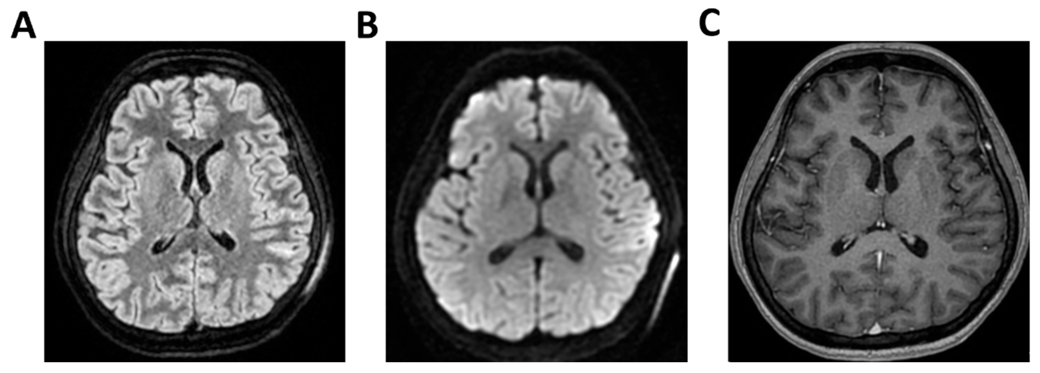 Clinpract 16 00041 g002