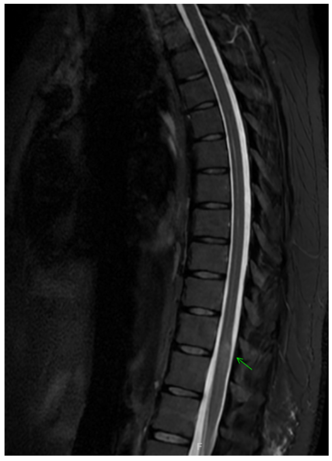 Clinpract 16 00086 g001 Clinpract 16 00086 g001