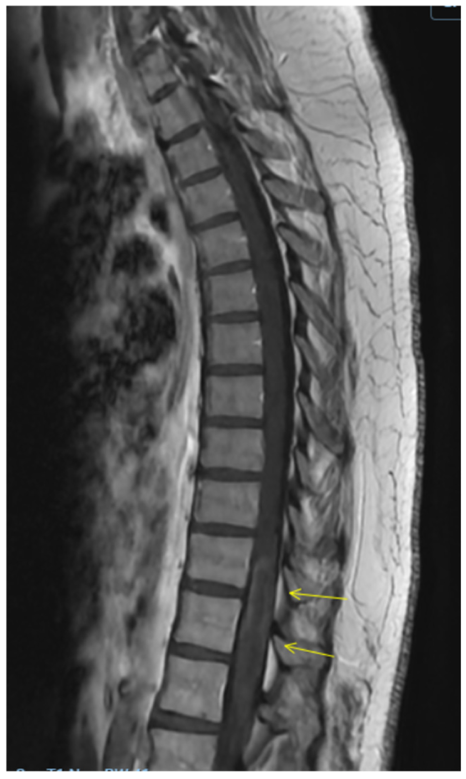 Clinpract 16 00086 g003 Clinpract 16 00086 g003