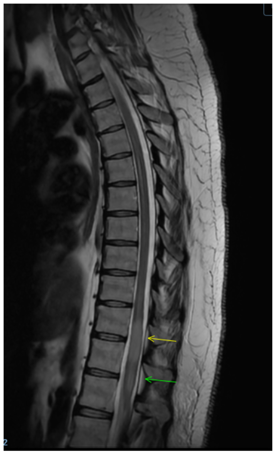 Clinpract 16 00086 g004 Clinpract 16 00086 g004