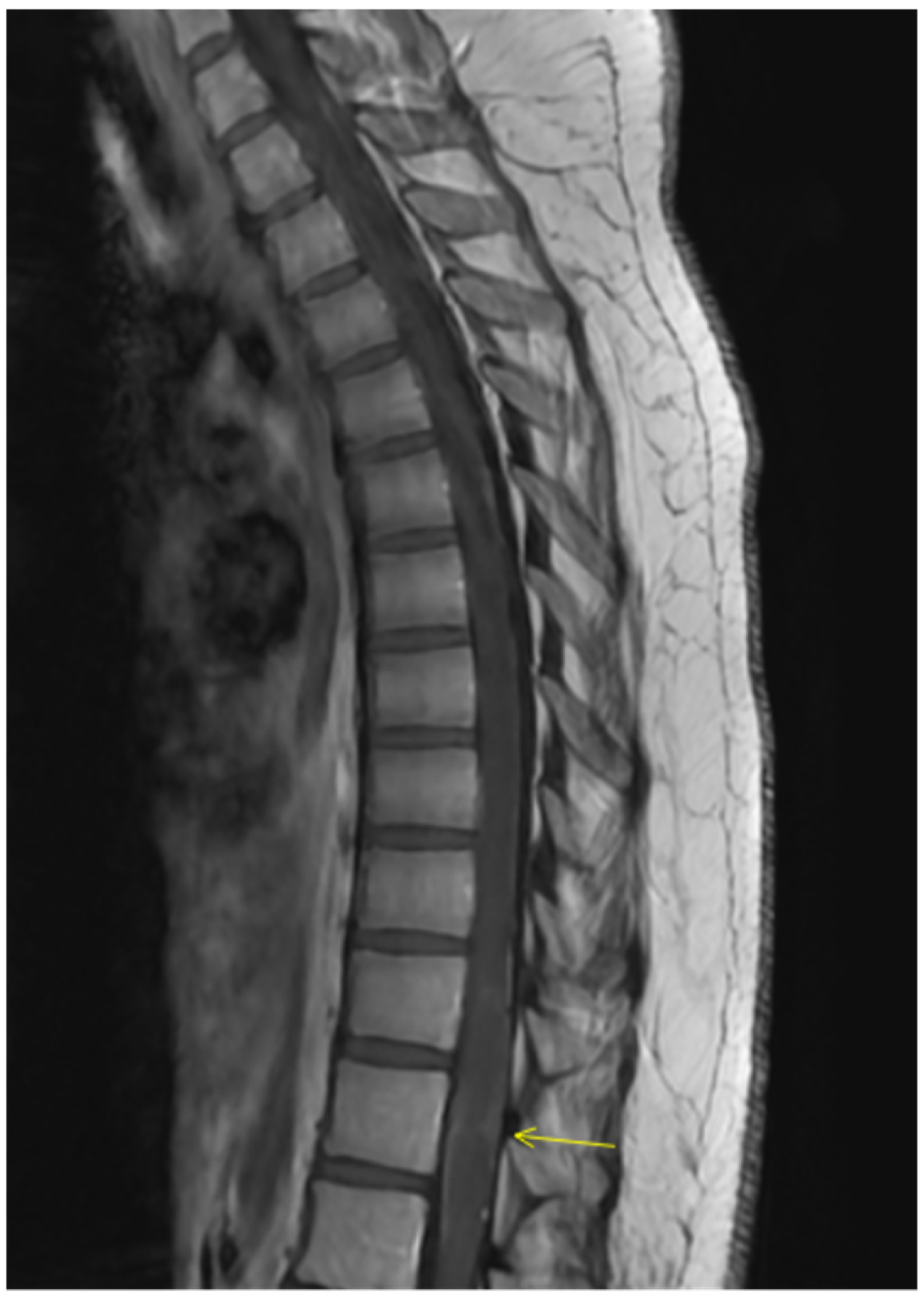 Clinpract 16 00086 g006 Clinpract 16 00086 g006