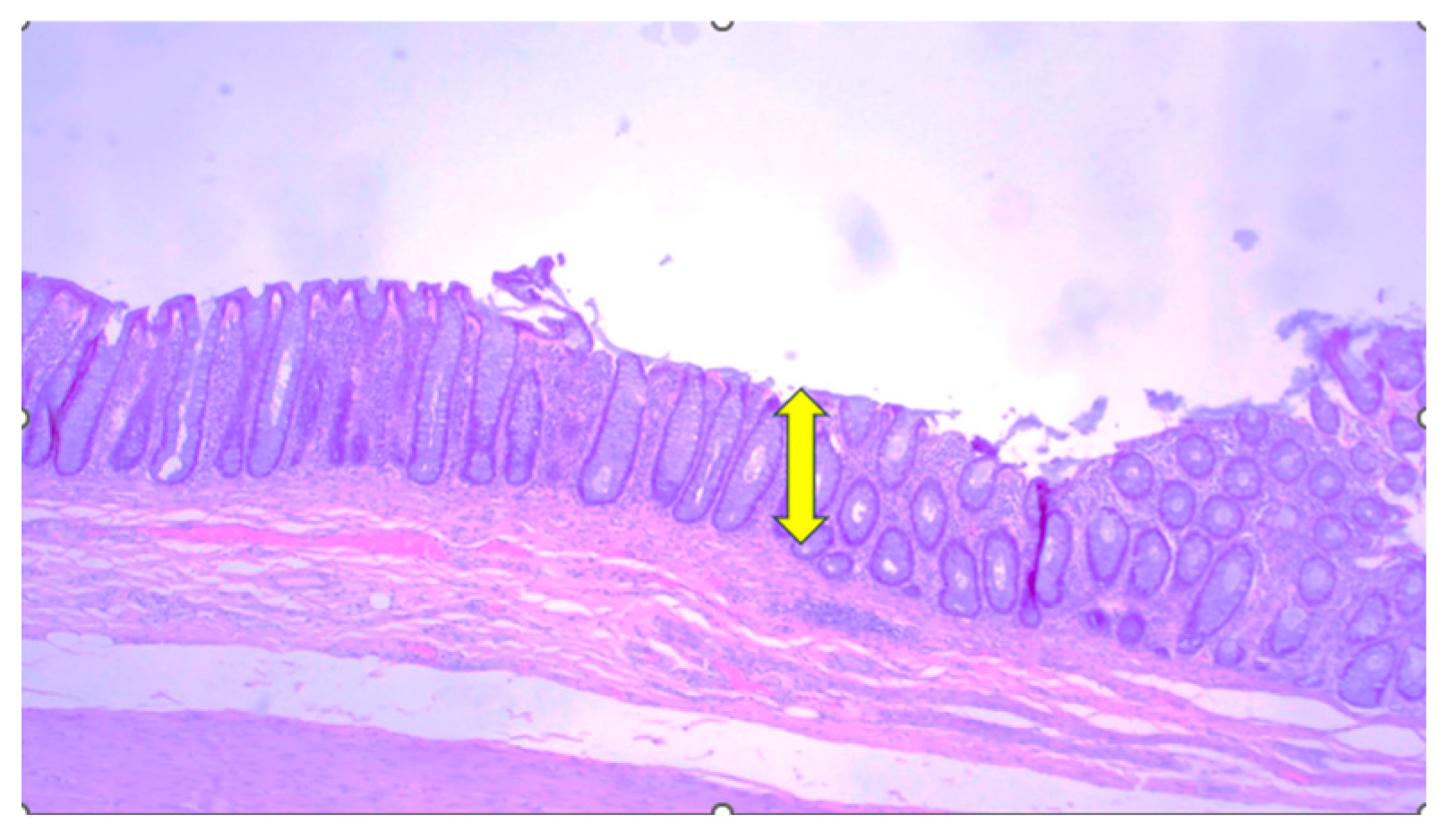 Clinpract 16 00095 g005