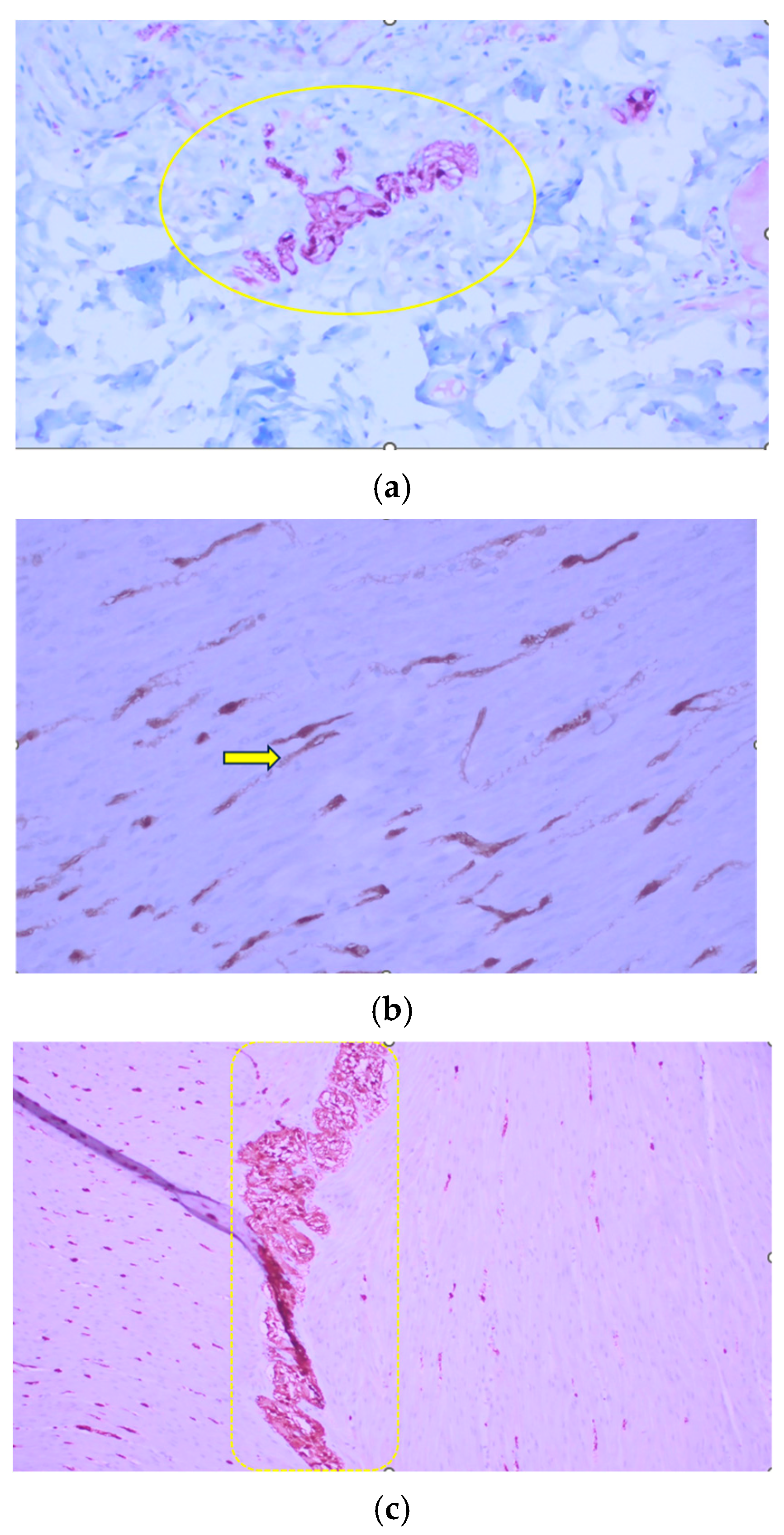 Clinpract 16 00095 g006