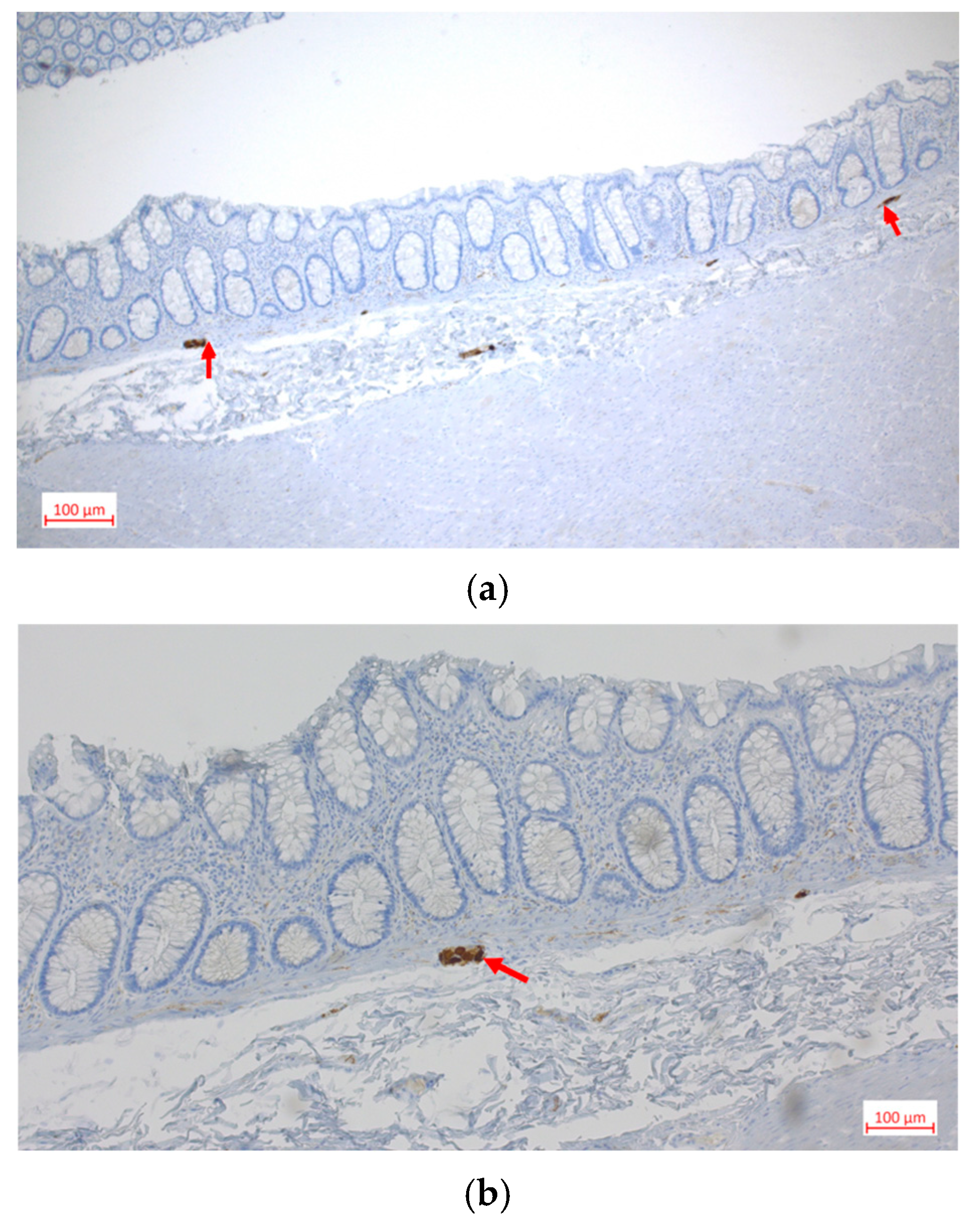 Clinpract 16 00095 g007