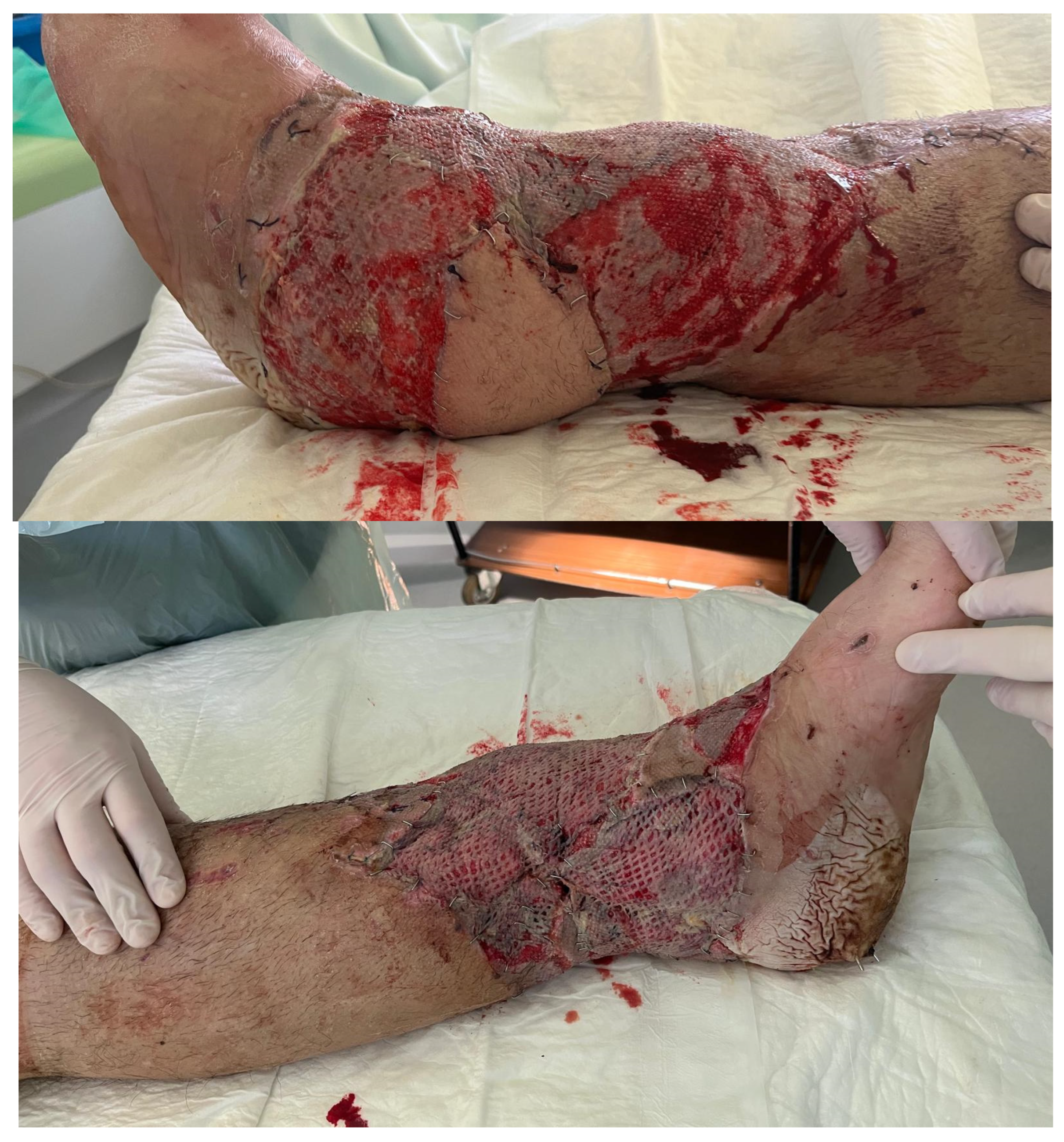 Clinpract 16 00102 g004a Clinpract 16 00102 g004a