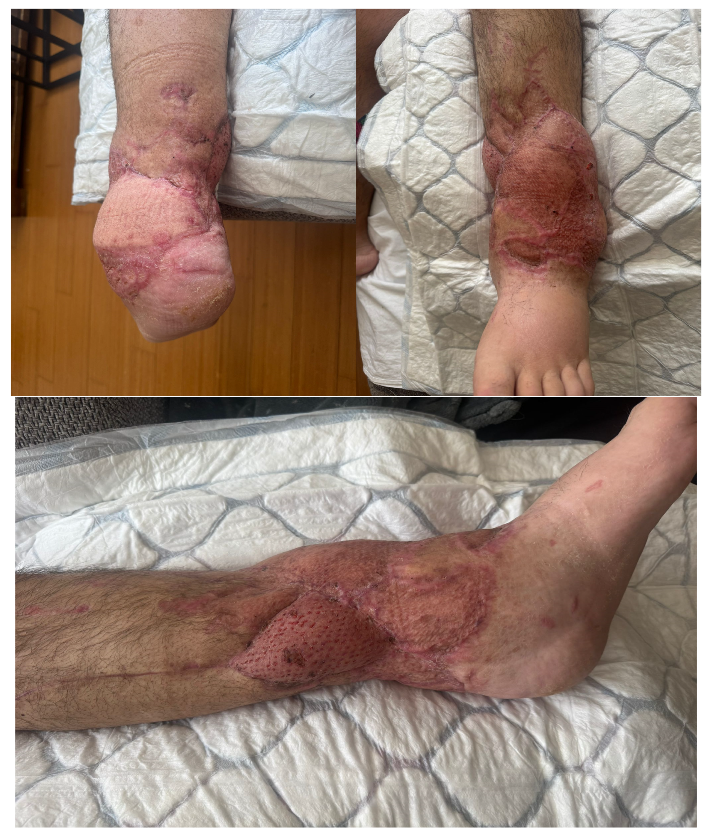 Clinpract 16 00102 g008 Clinpract 16 00102 g008
