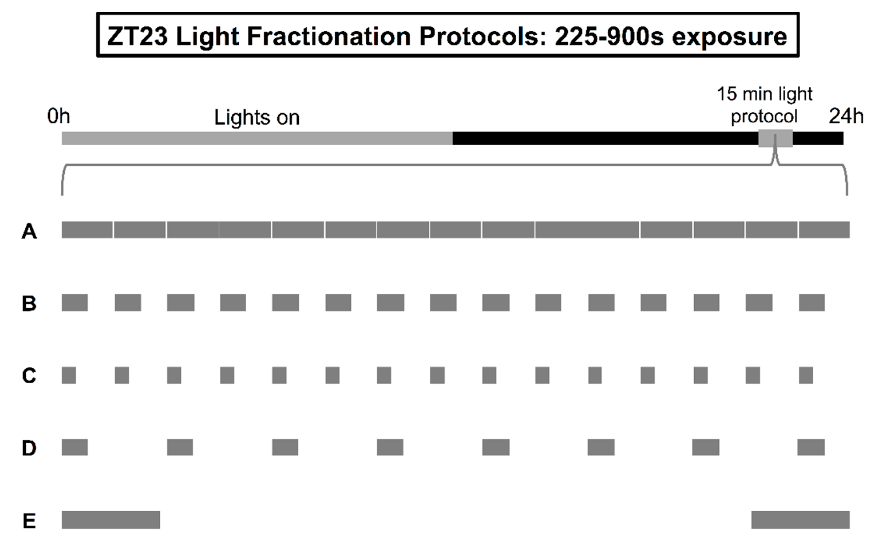 Clockssleep 01 00004 g001