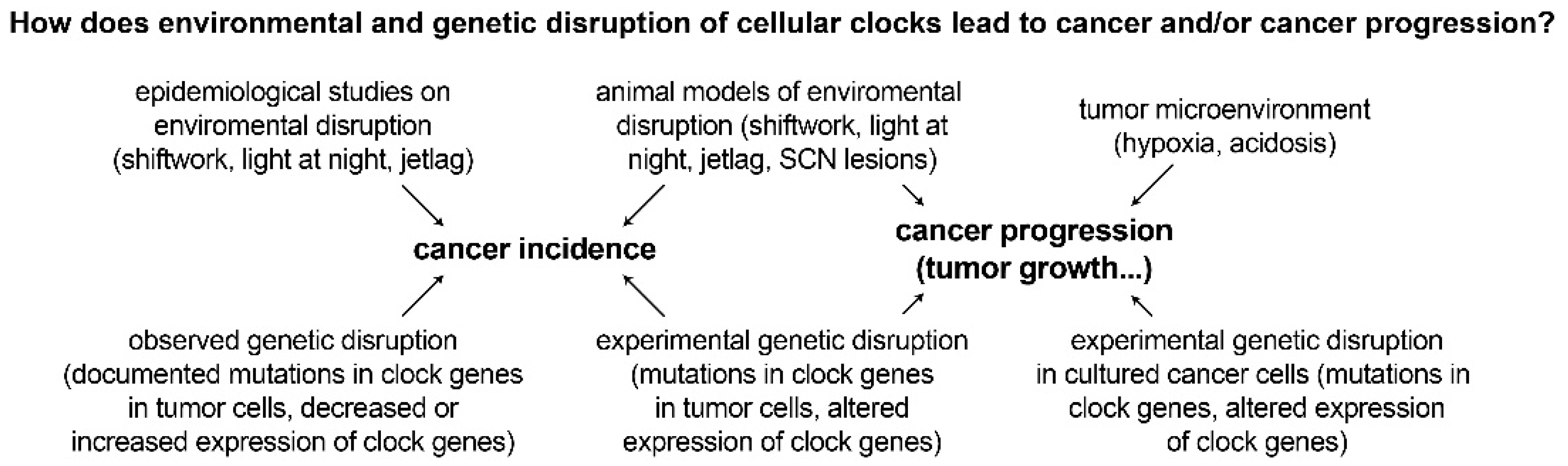 Clockssleep 01 00034 g003