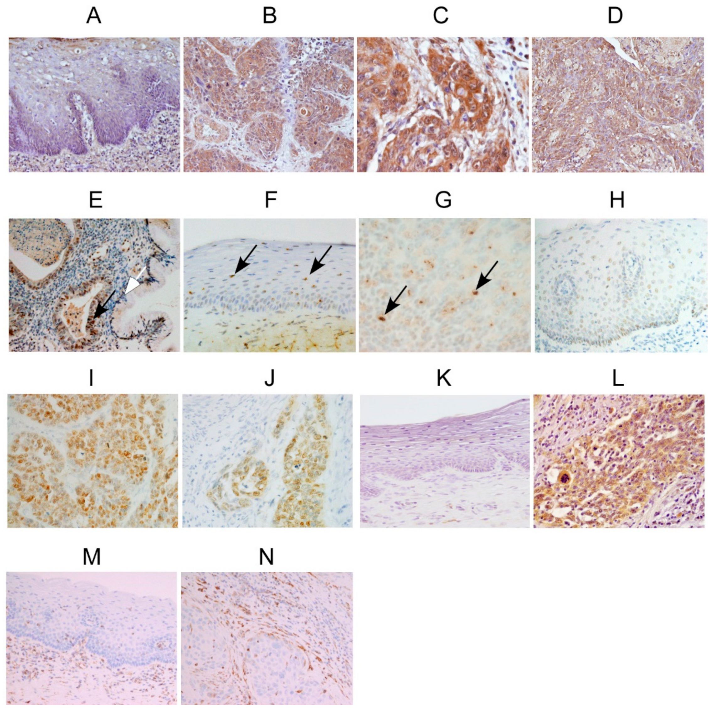 Clockssleep 02 00004 g001