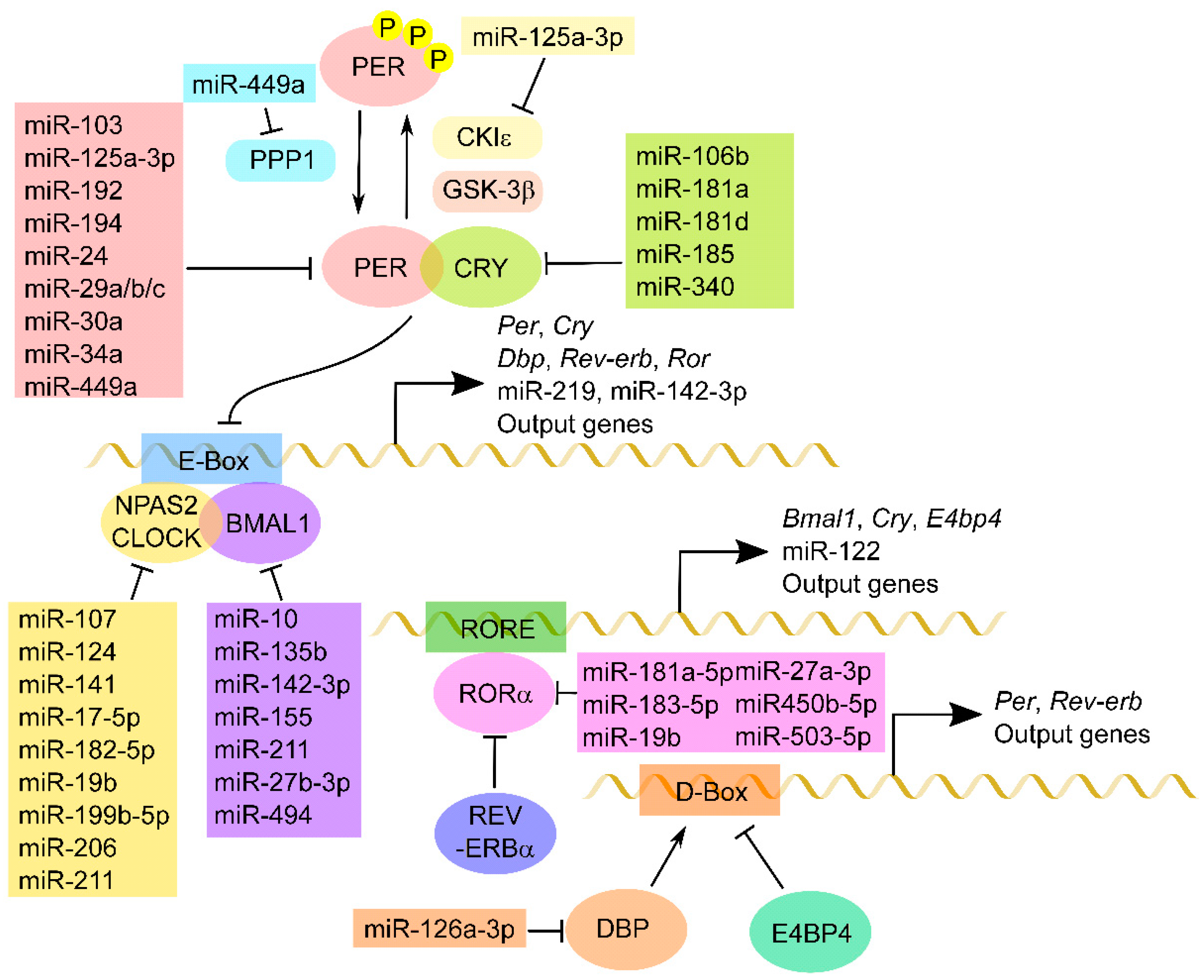 Clockssleep 02 00022 g001