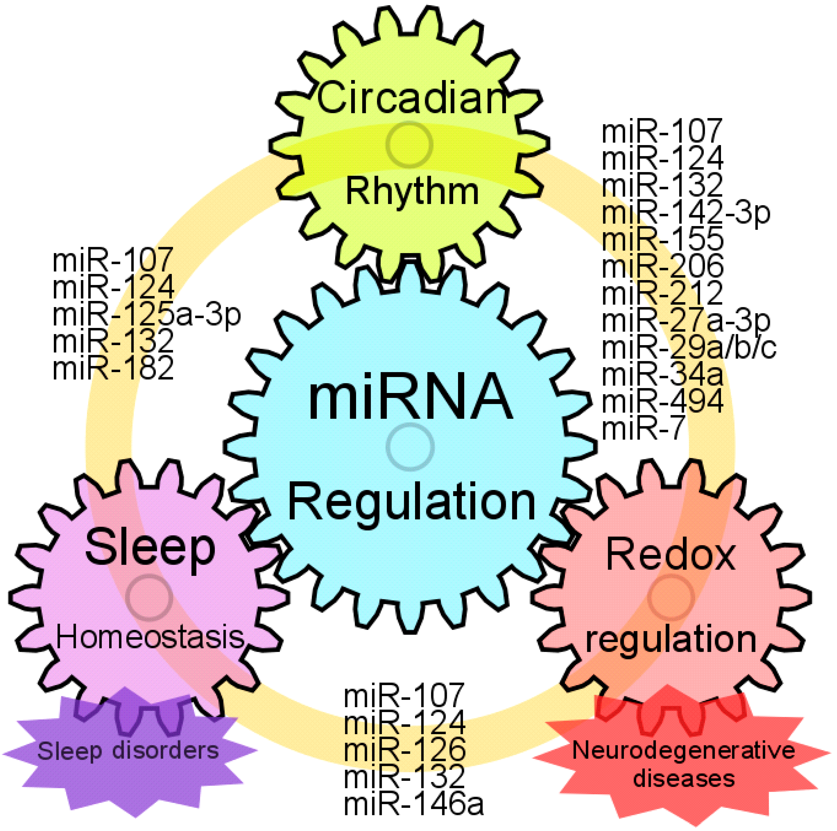 Clockssleep 02 00022 g002