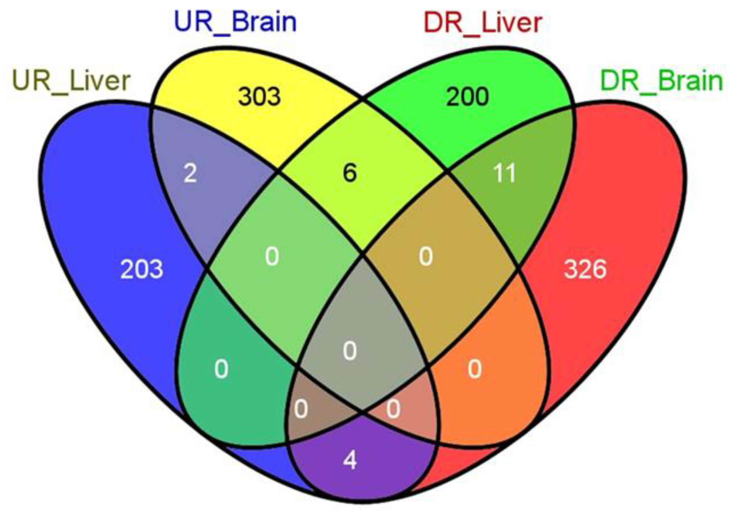 Clockssleep 02 00033 g002