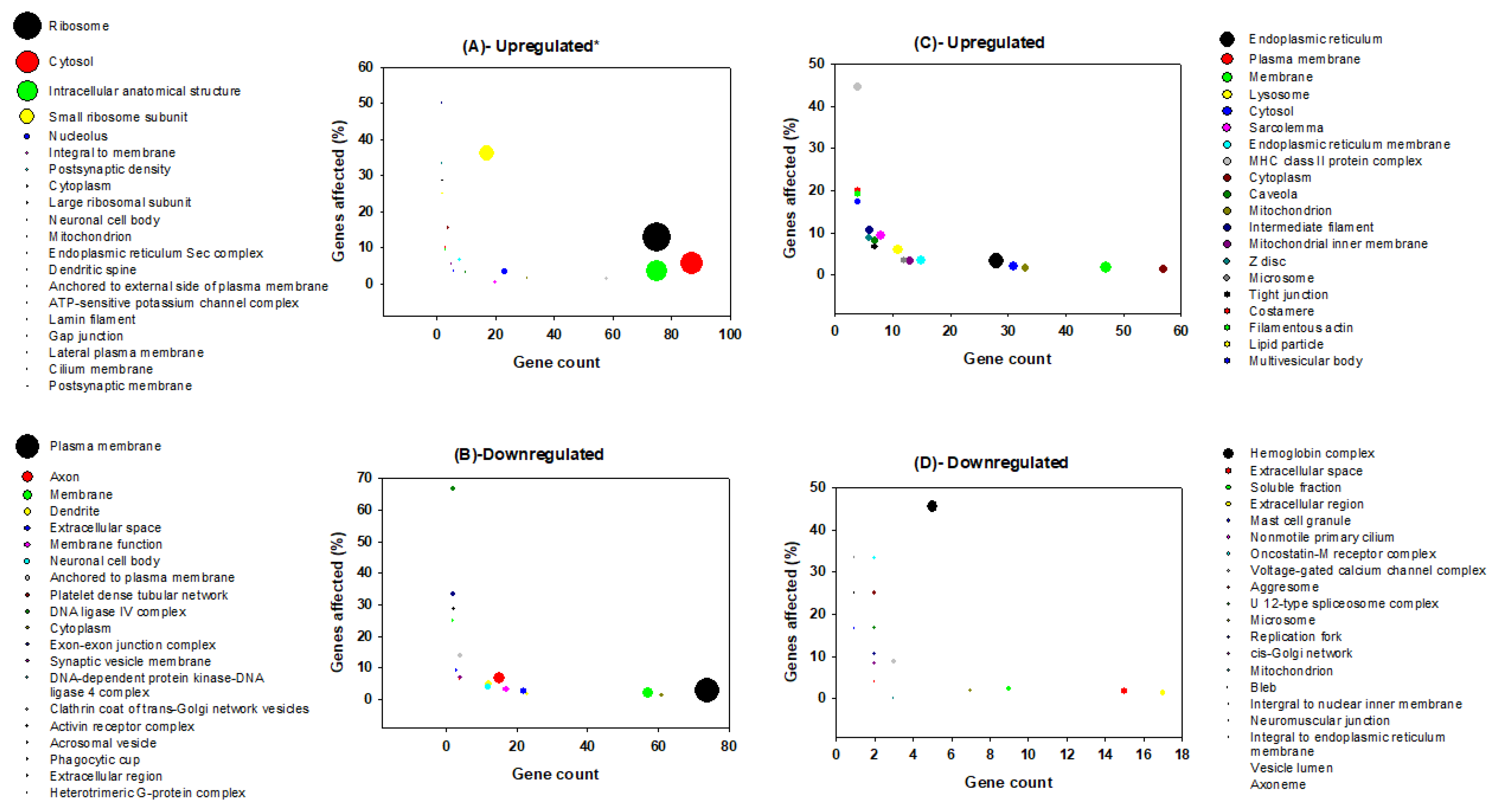 Clockssleep 02 00033 g005