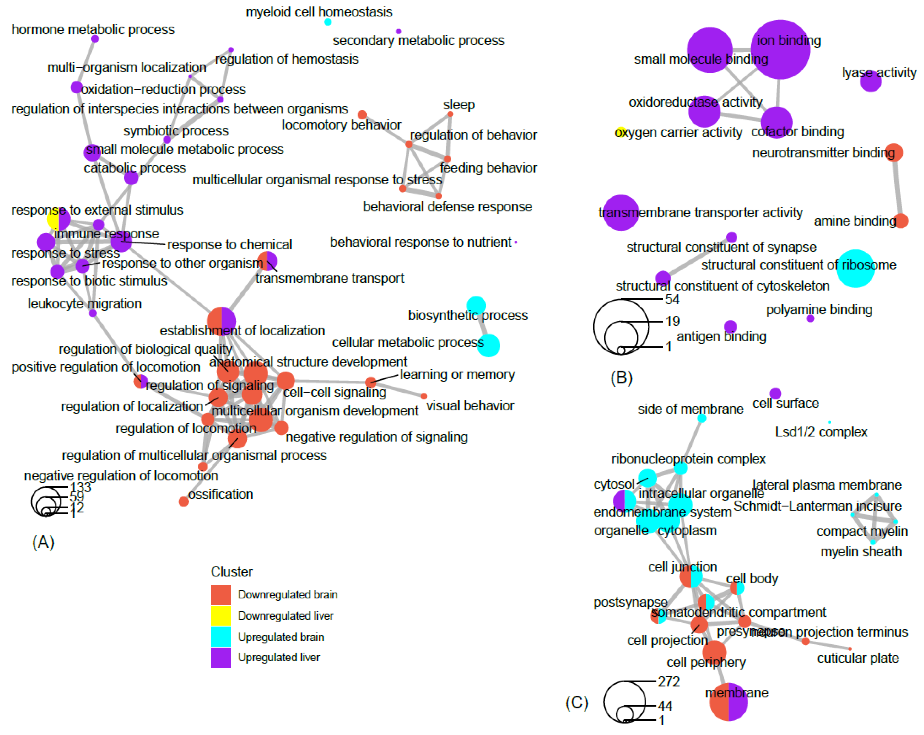 Clockssleep 02 00033 g008