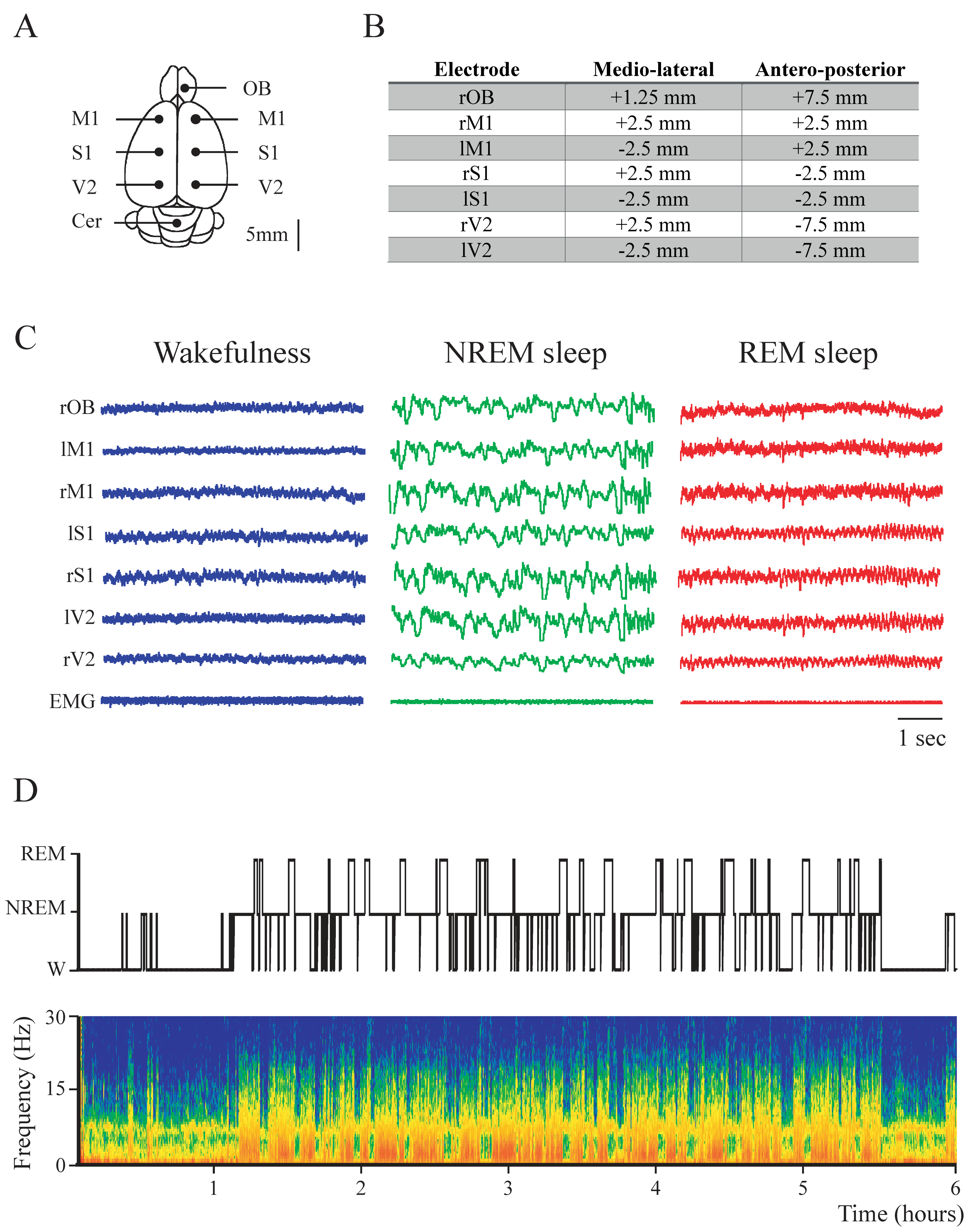 Clockssleep 02 00039 g001