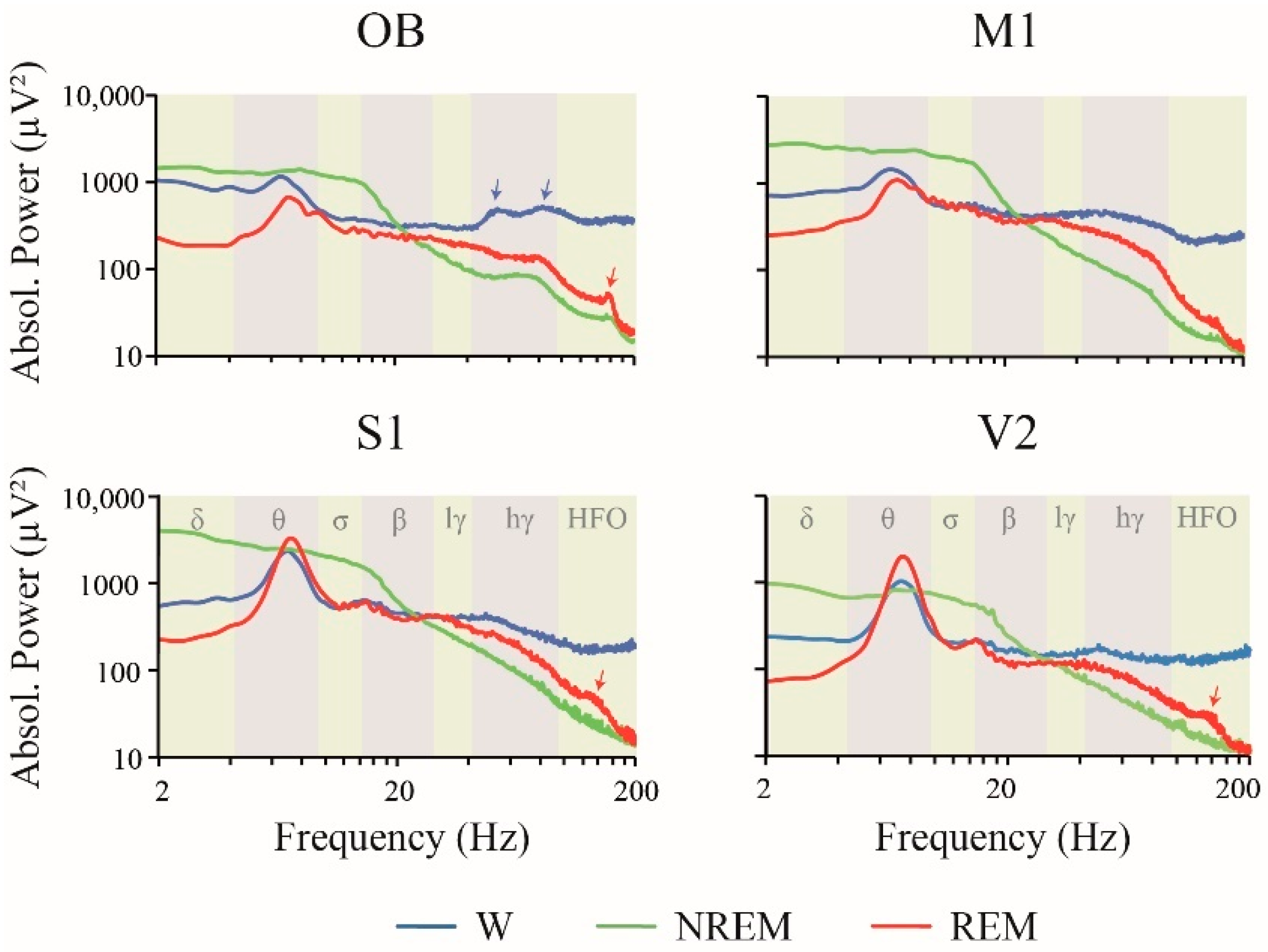 Clockssleep 02 00039 g002