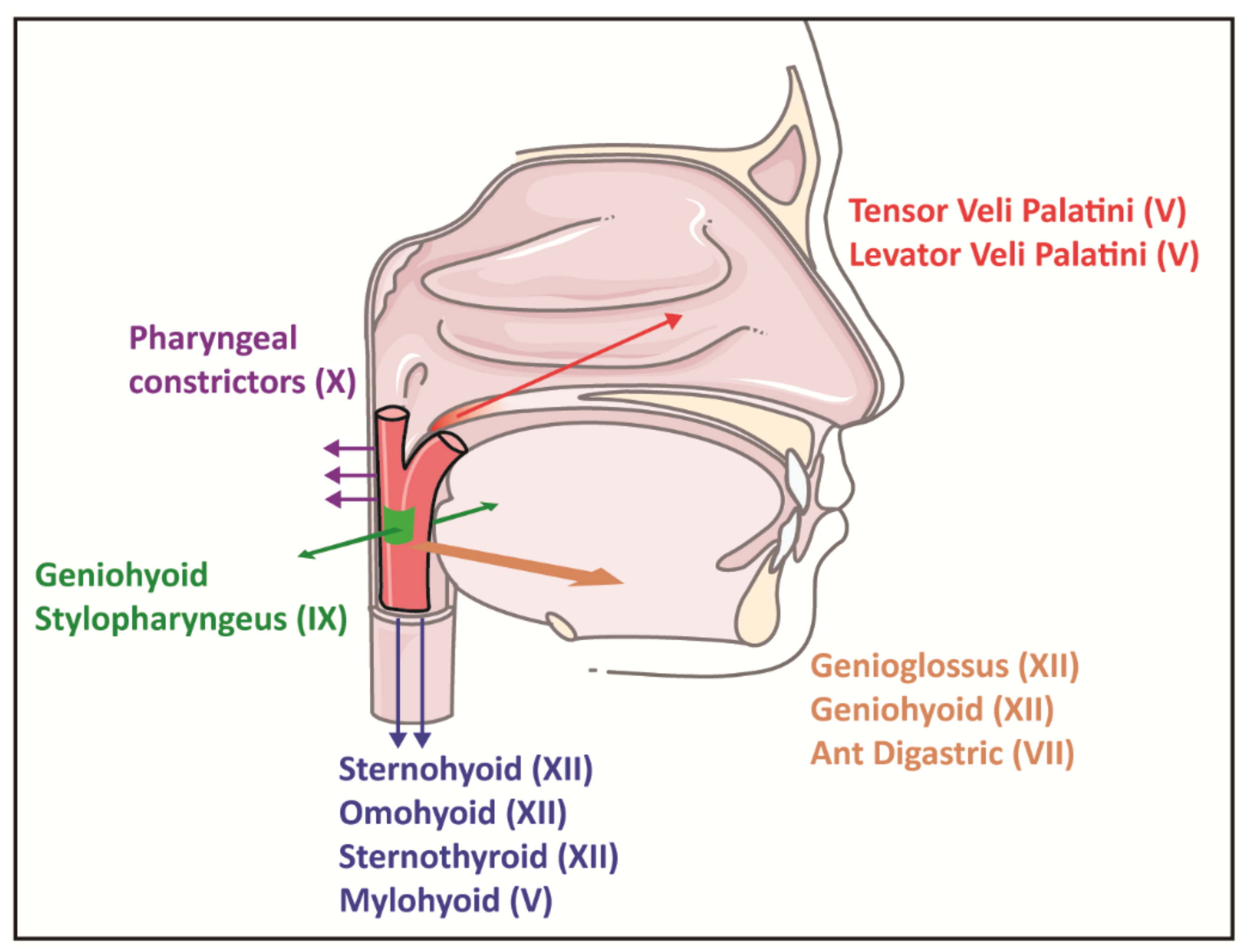Clockssleep 03 00013 g002 Clockssleep 03 00013 g002