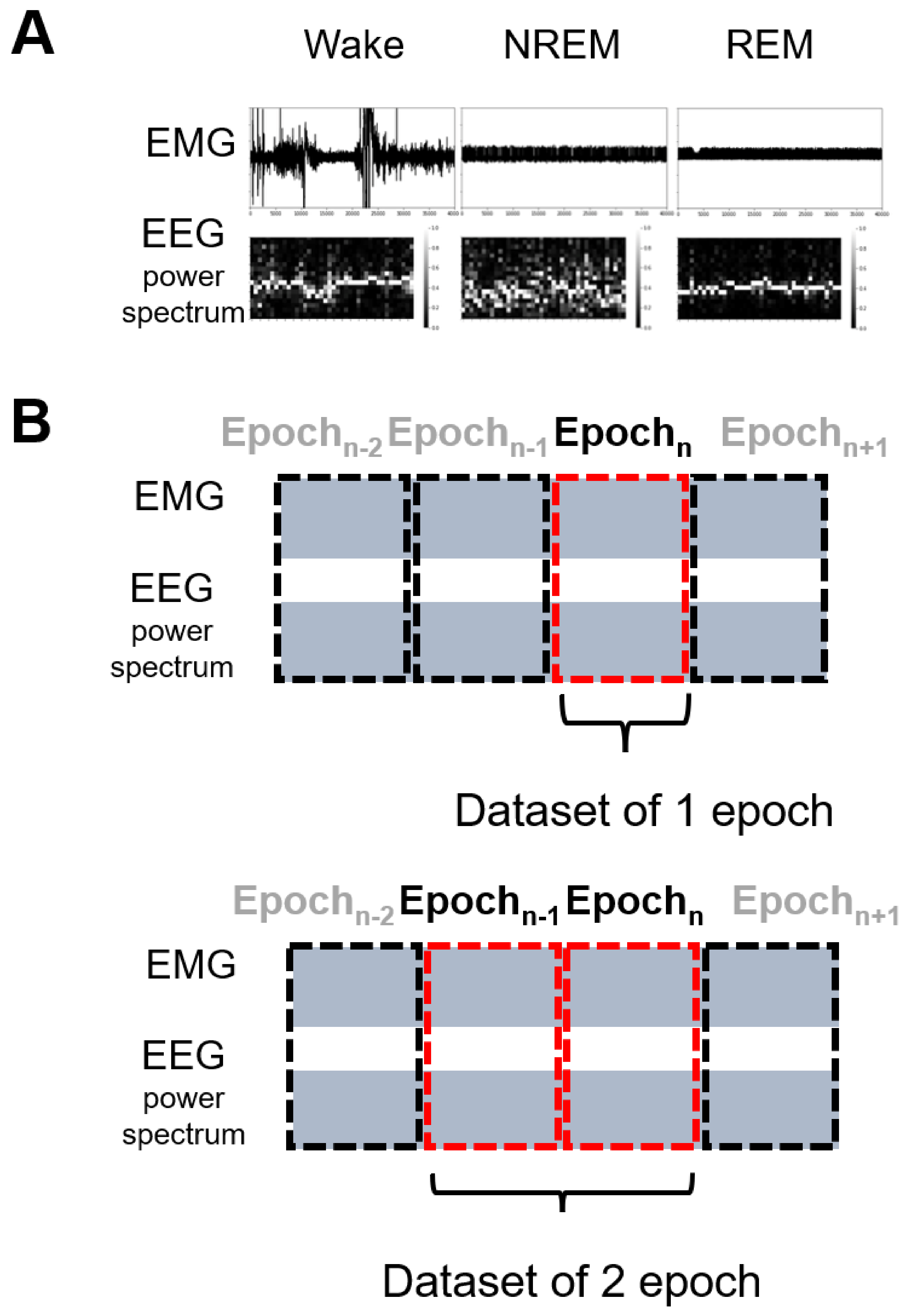Clockssleep 03 00041 g001