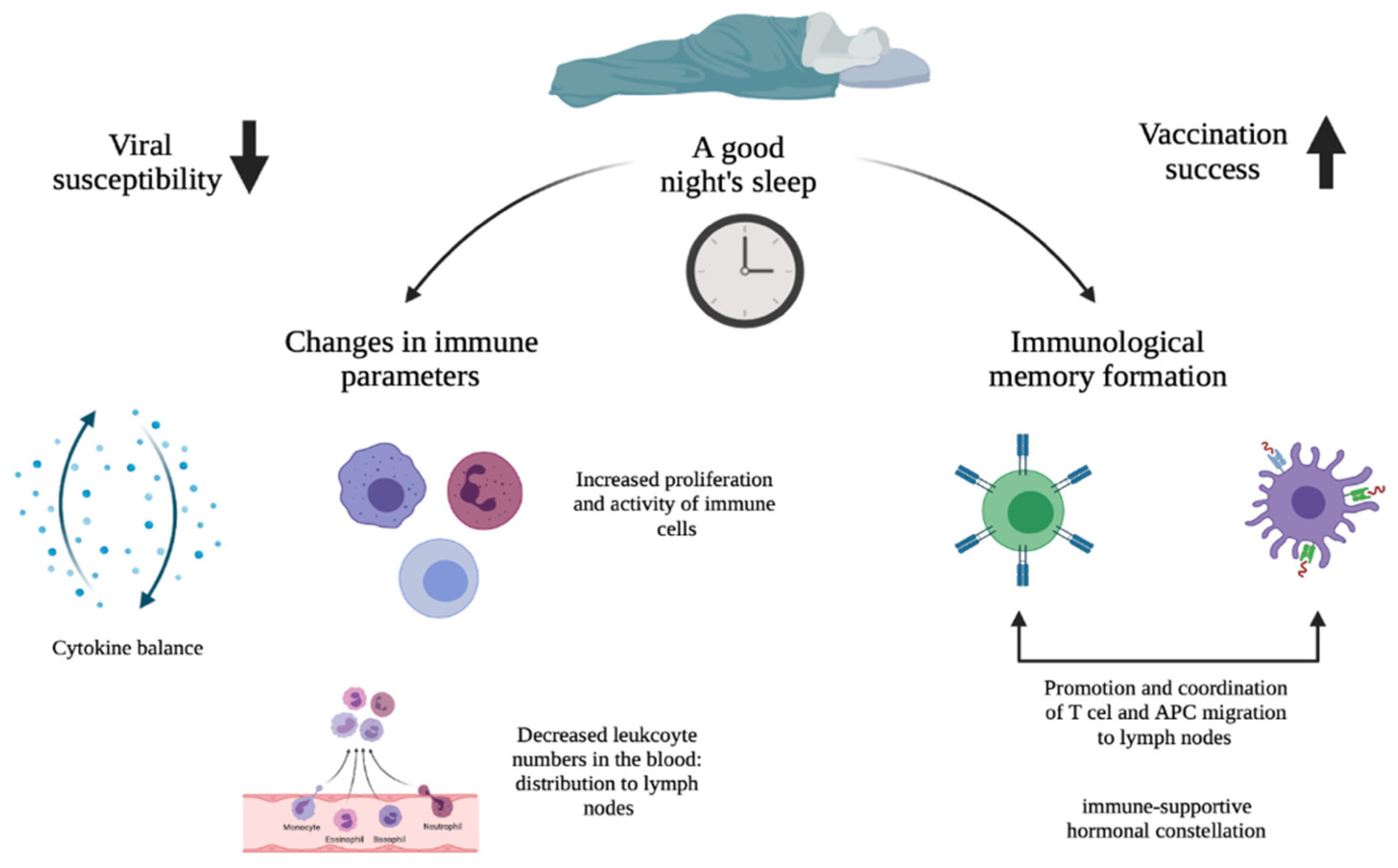 Clockssleep 04 00008 g001