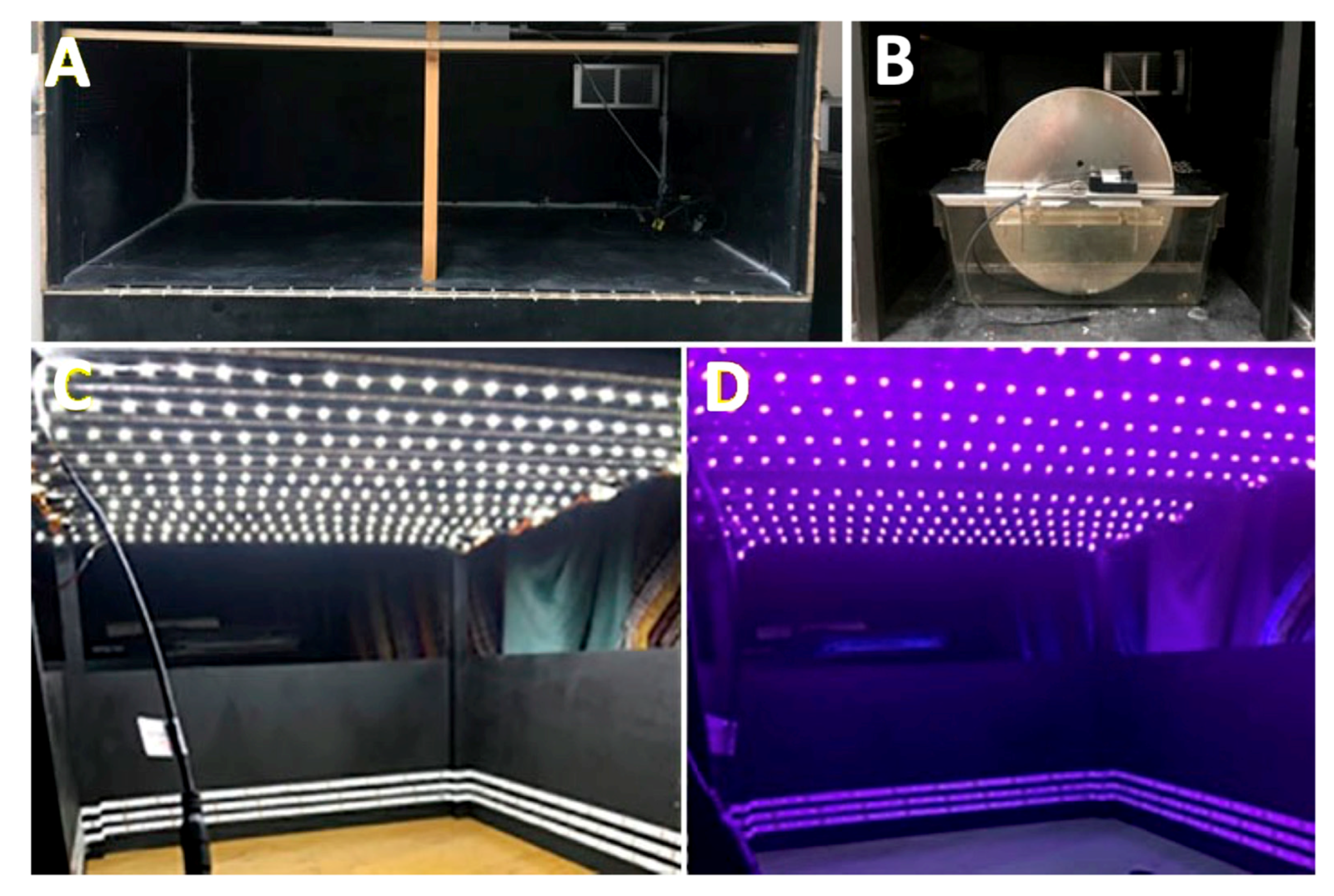 Clockssleep 06 00029 g004