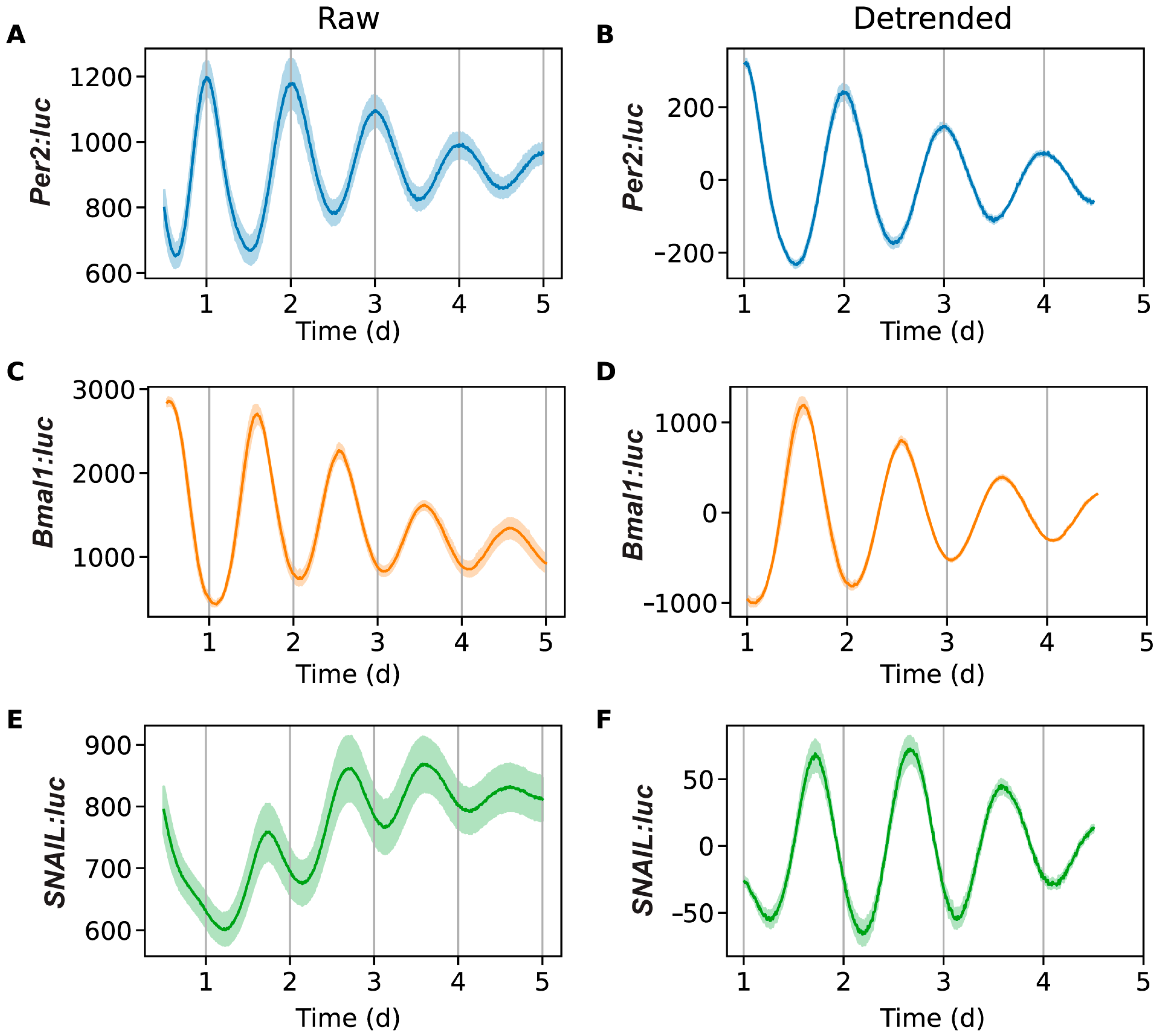 Clockssleep 07 00054 g001 Clockssleep 07 00054 g001