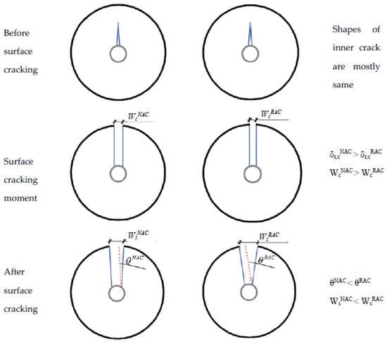 Cmd 03 00011 g005 550