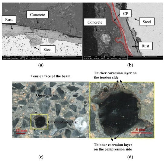 Cmd 03 00011 g006 550