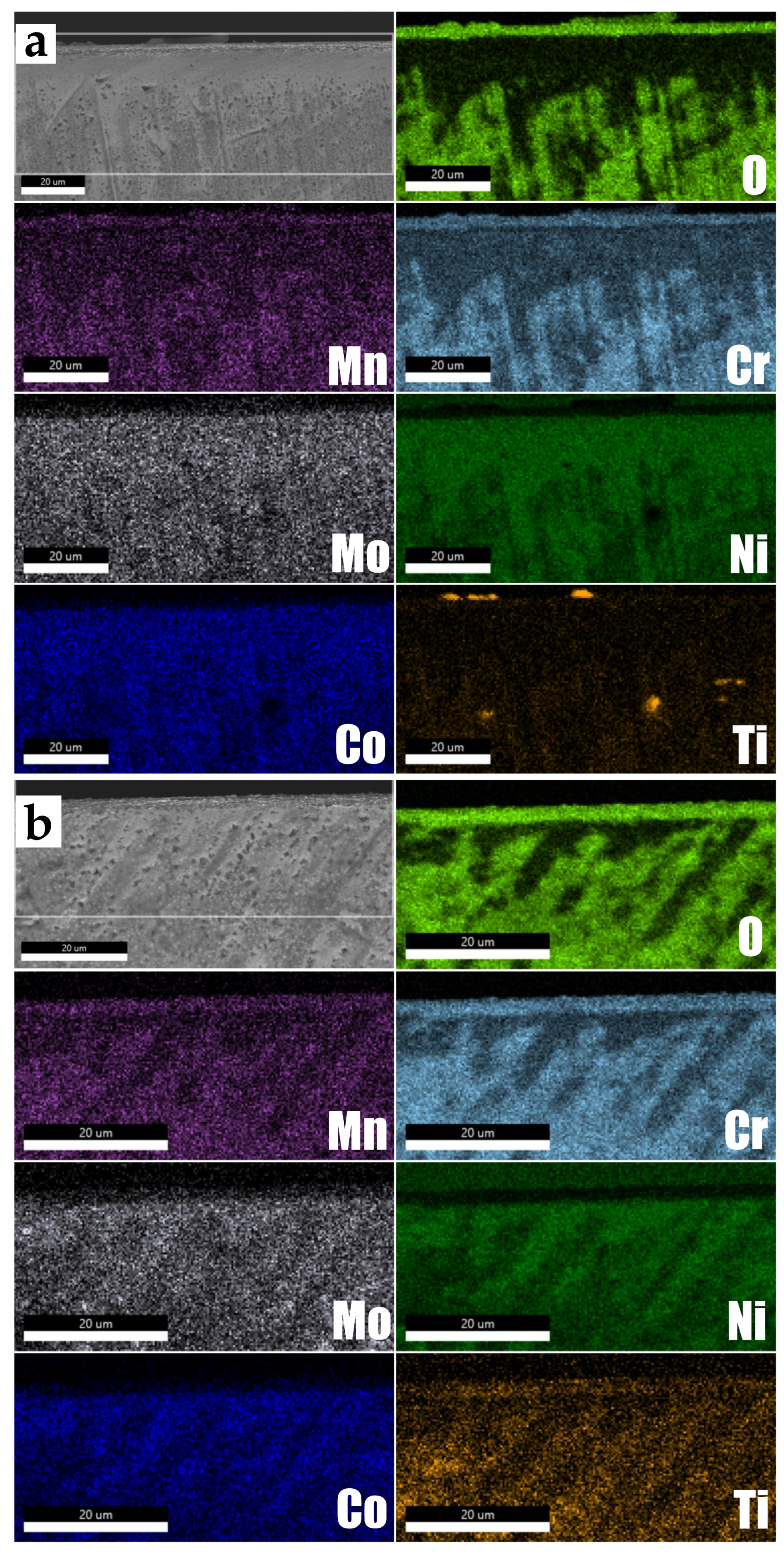 Cmd 04 00006 g007 Cmd 04 00006 g007