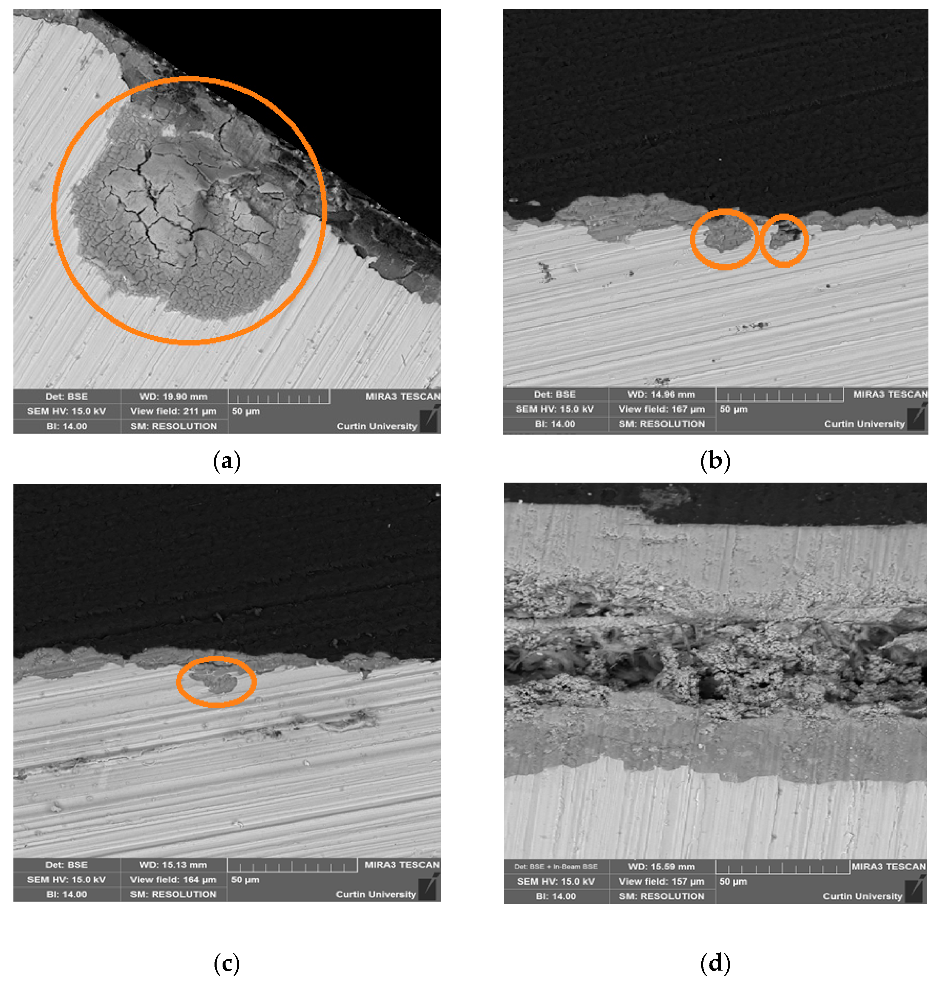 Cmd 04 00019 g006 Cmd 04 00019 g006