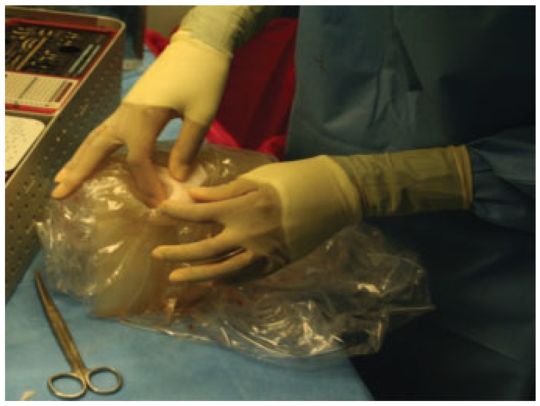 Cmtr 06 00046 g005 Cmtr 06 00046 g005