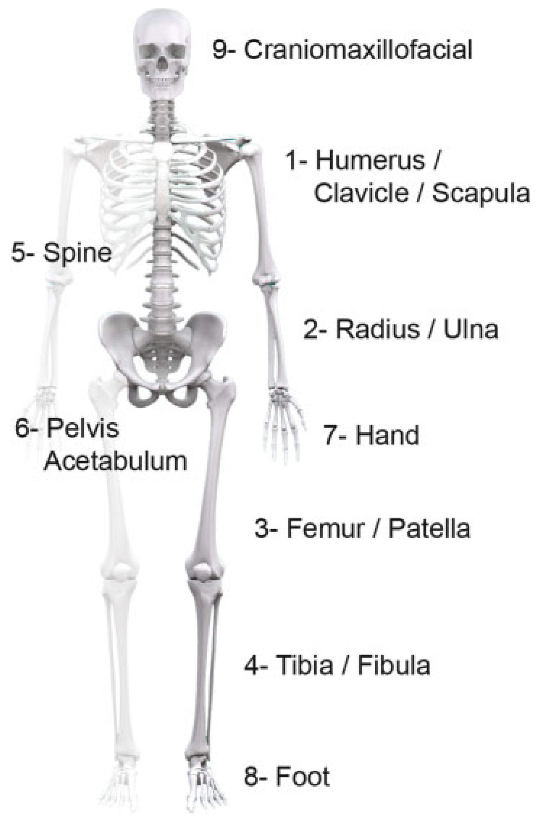 Cmtr 07 00004 g003 Cmtr 07 00004 g003