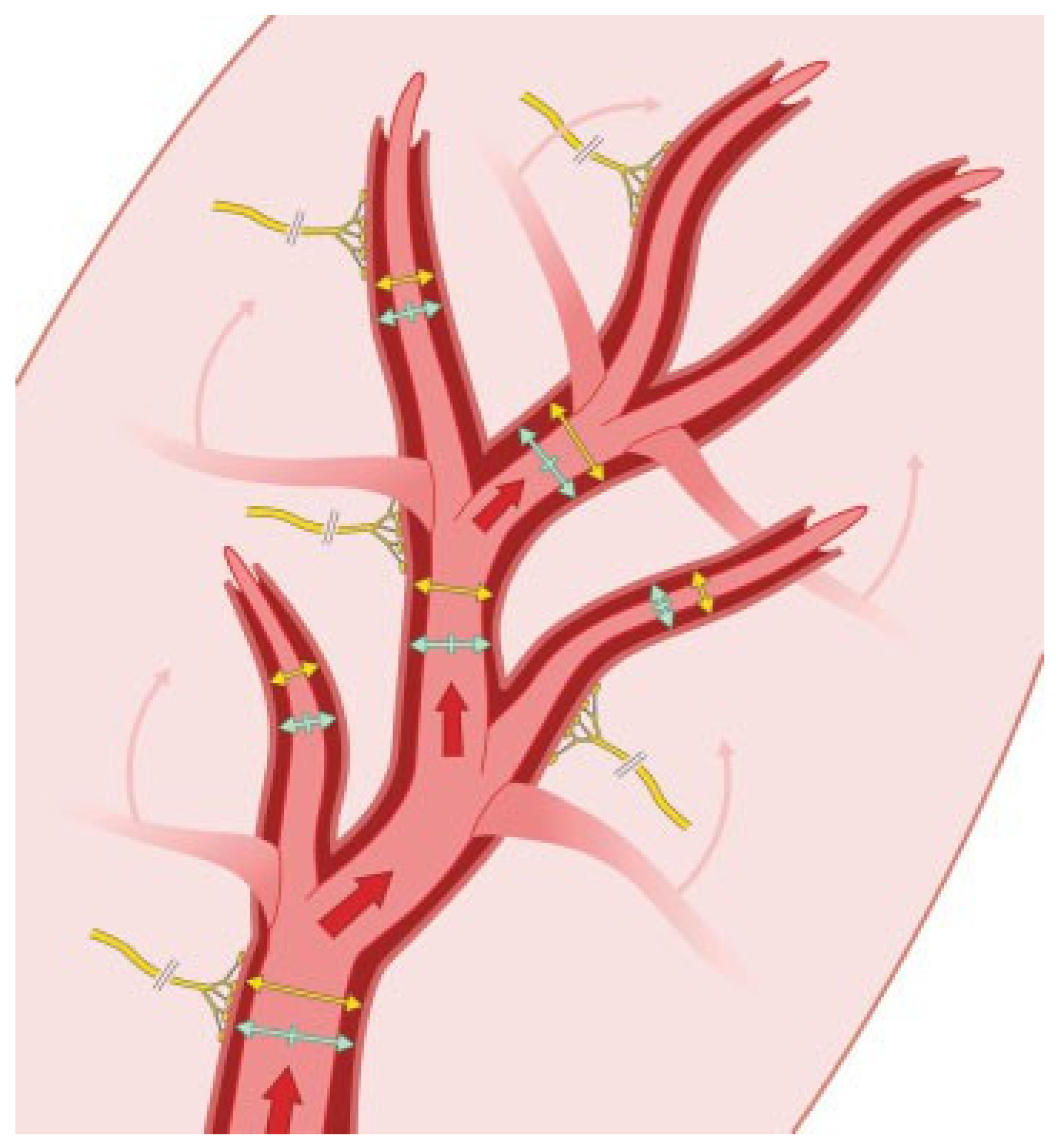 Cmtr 07 00030 g001 Cmtr 07 00030 g001