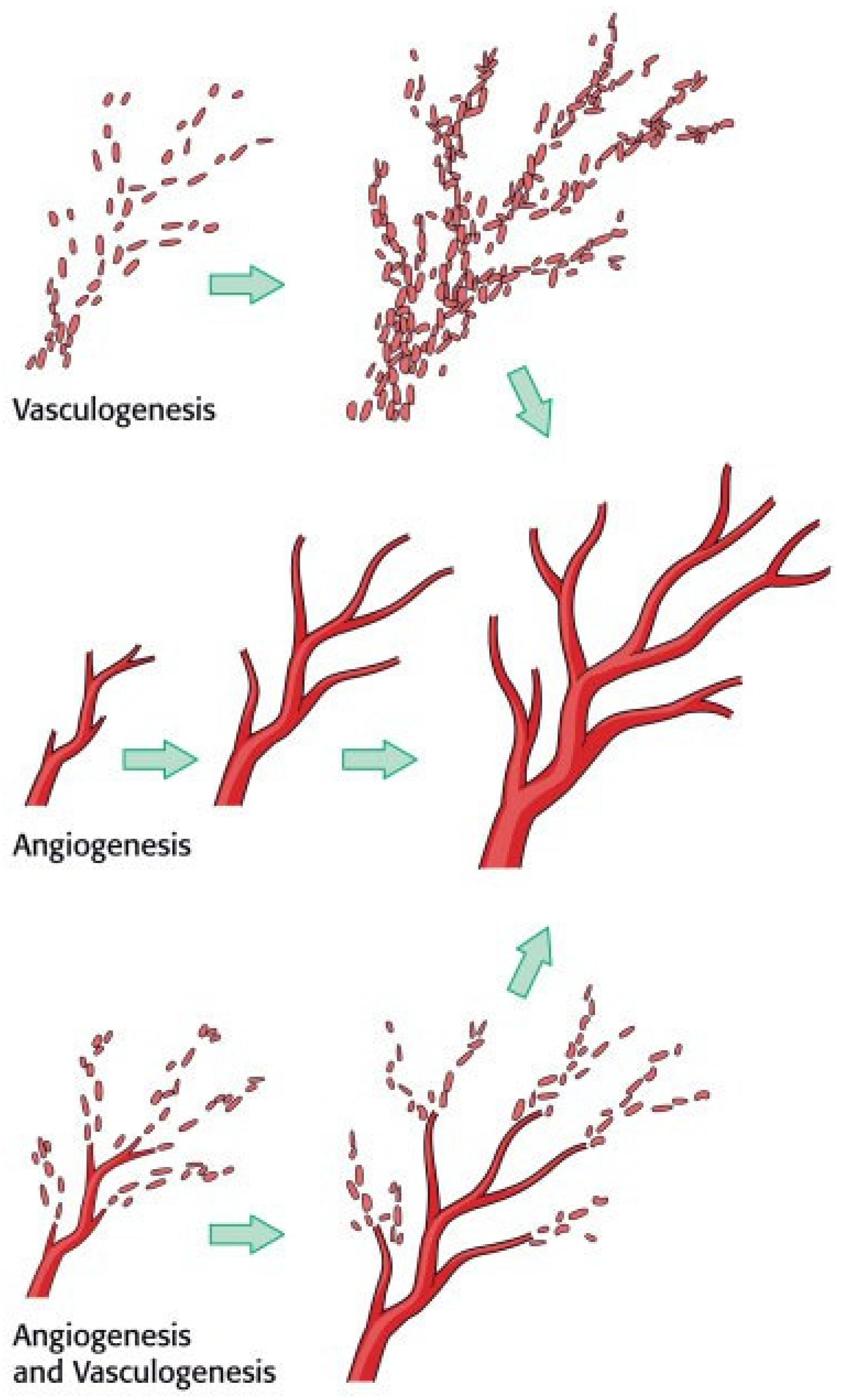 Cmtr 07 00030 g002 Cmtr 07 00030 g002