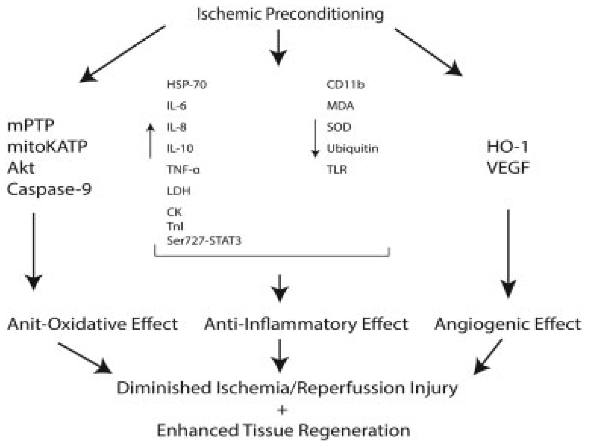 Cmtr 07 00030 g003 Cmtr 07 00030 g003
