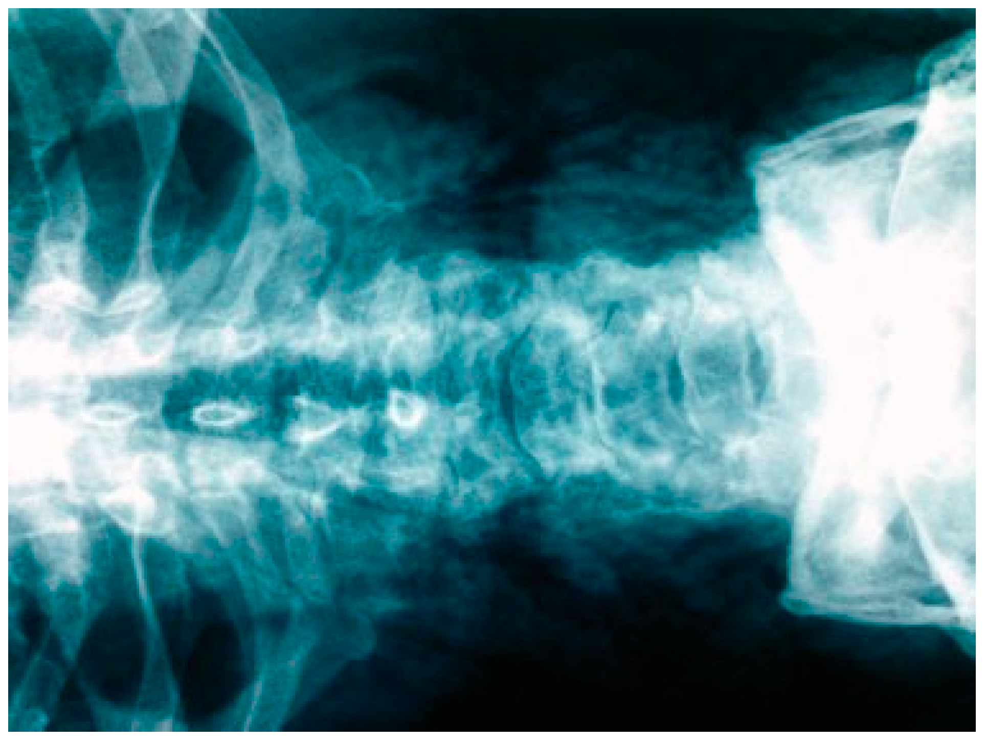 Cmtr 12 00010 g001 Cmtr 12 00010 g001