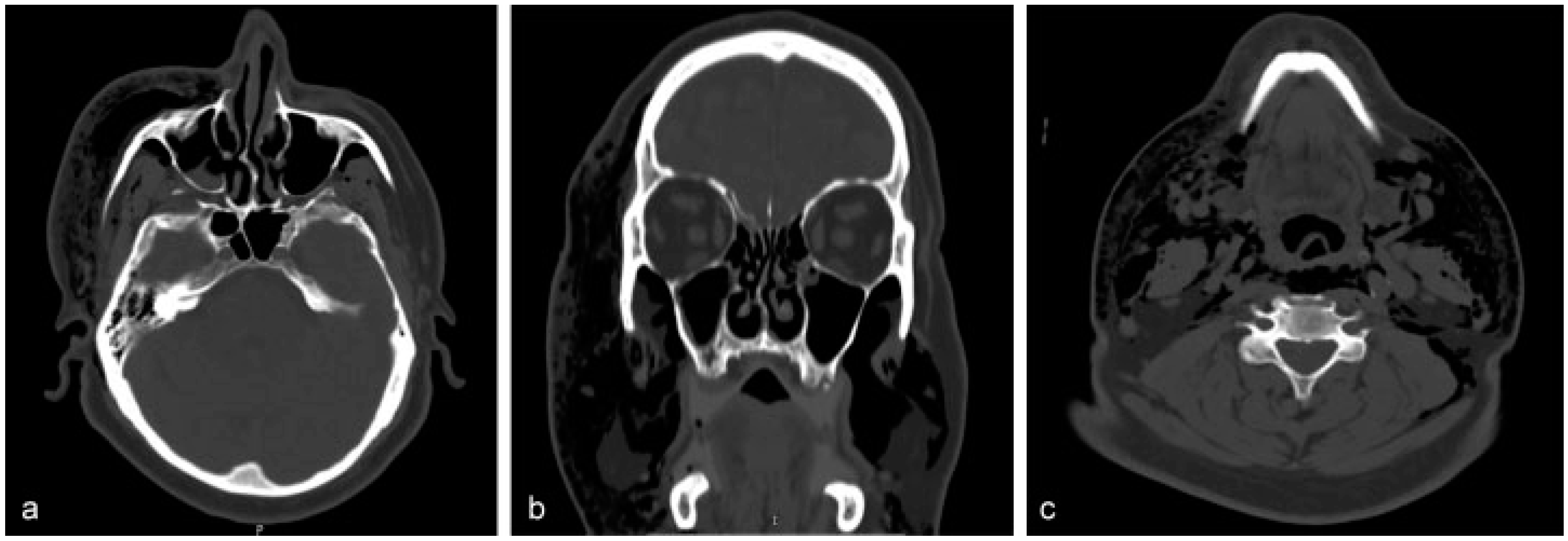 Cmtr 12 00010 g002 Cmtr 12 00010 g002