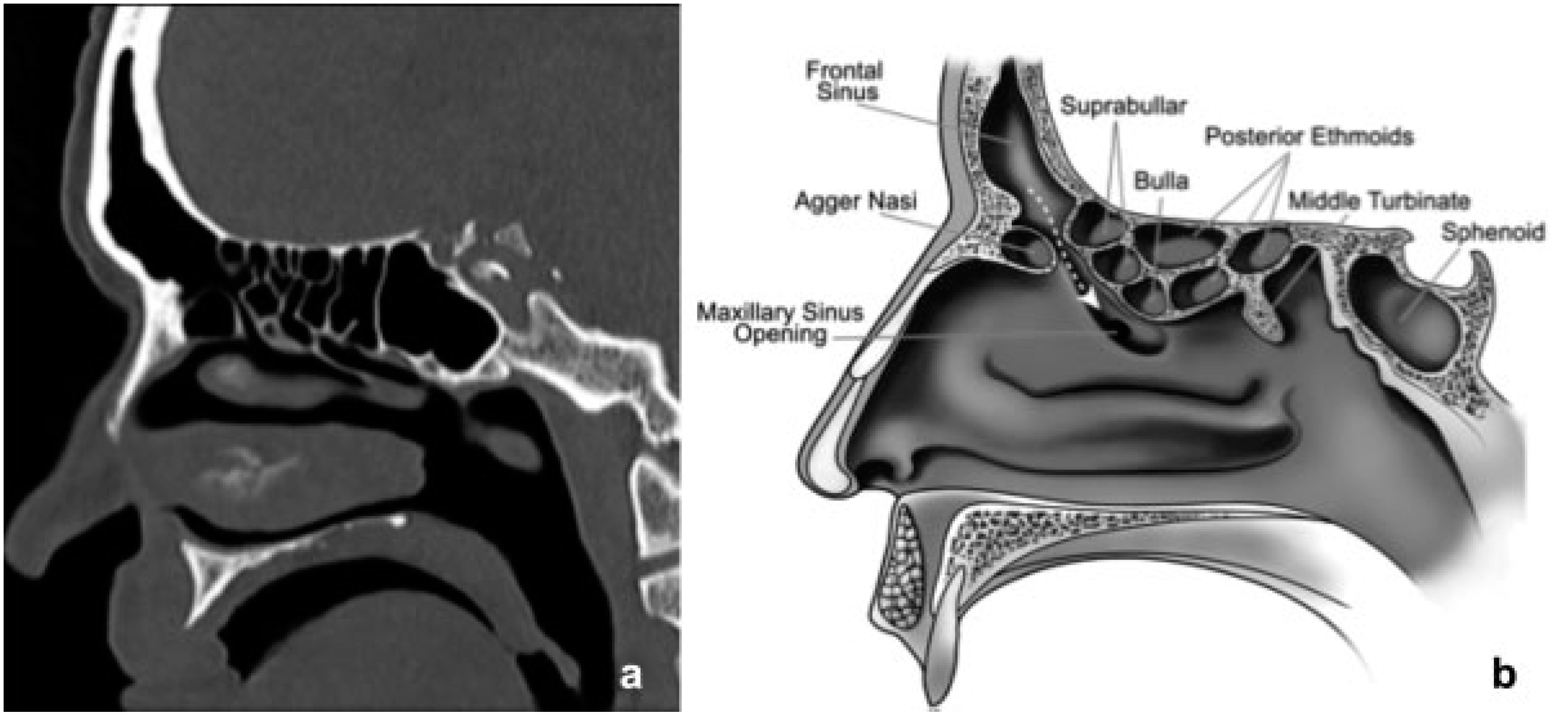 Cmtr 12 00013 g001 Cmtr 12 00013 g001