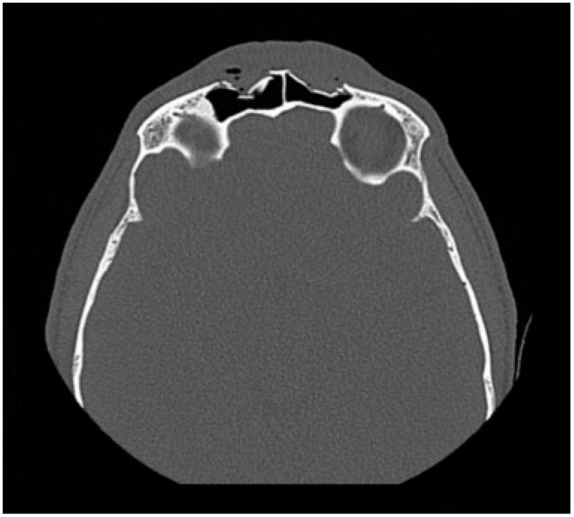 Cmtr 12 00013 g002 Cmtr 12 00013 g002