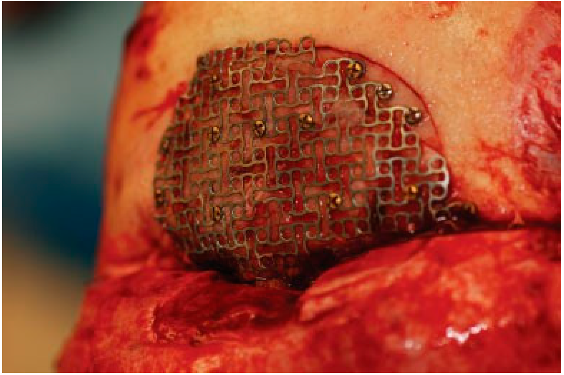 Cmtr 12 00013 g003 Cmtr 12 00013 g003