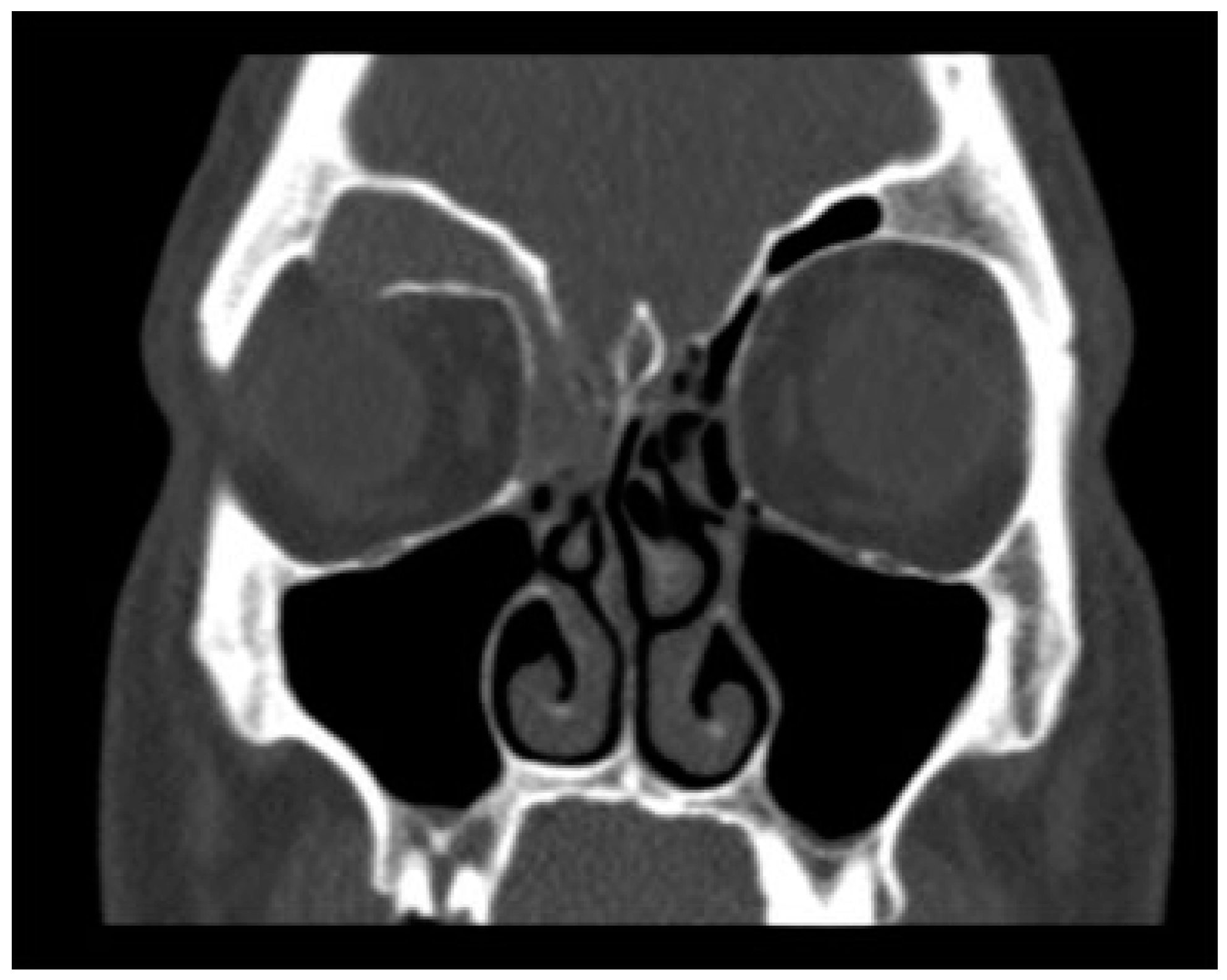 Cmtr 12 00013 g006 Cmtr 12 00013 g006